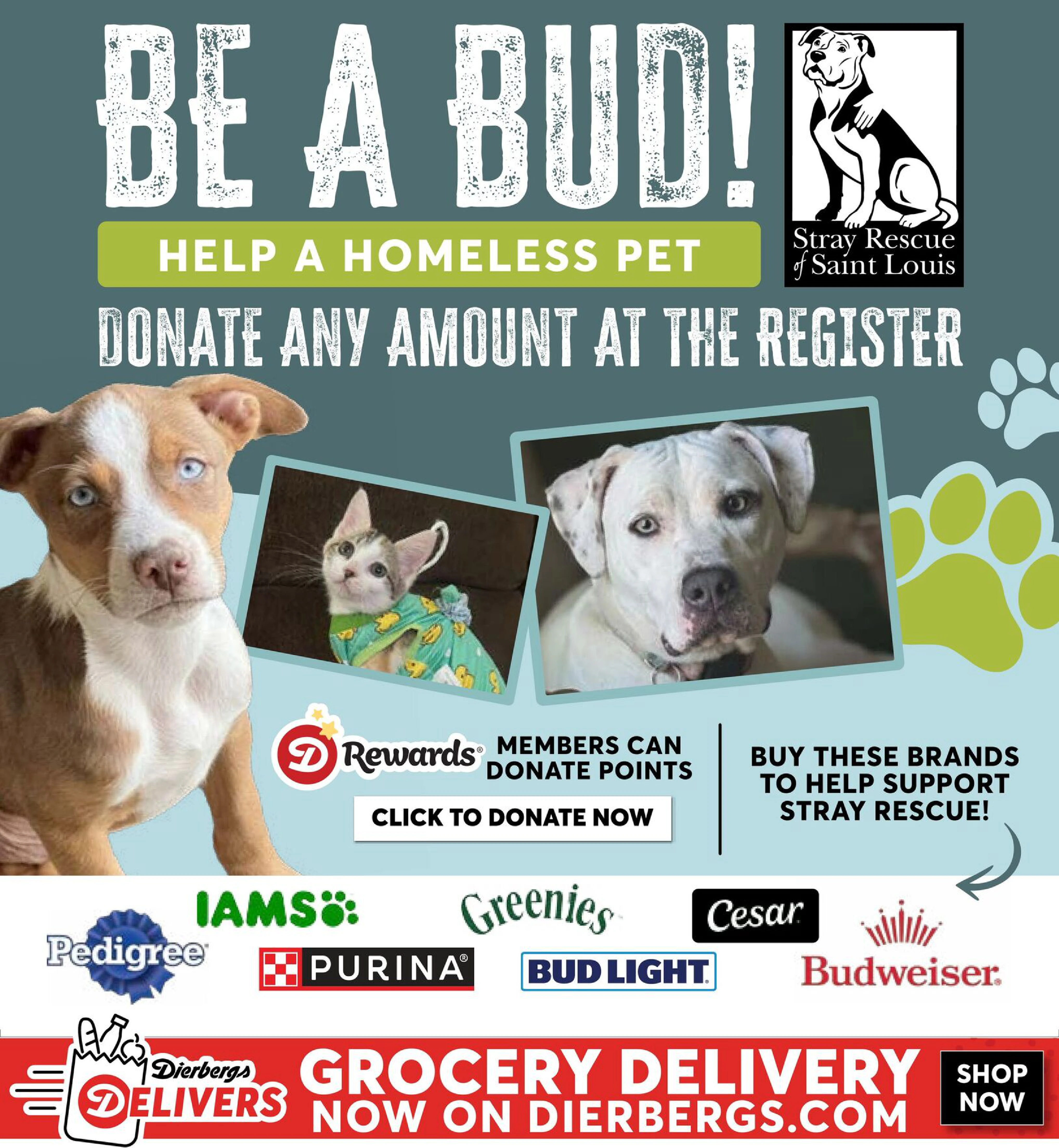 Flyer page 40
