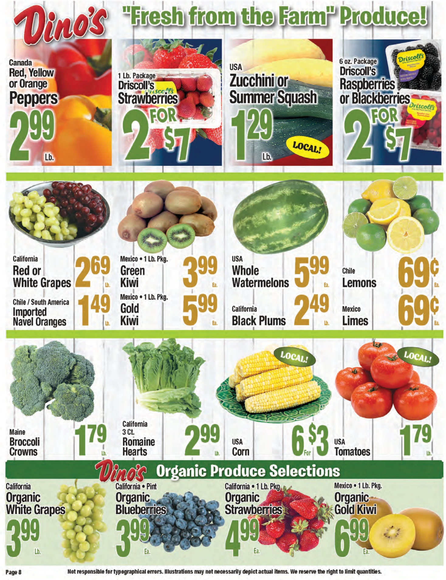 Flyer page 8