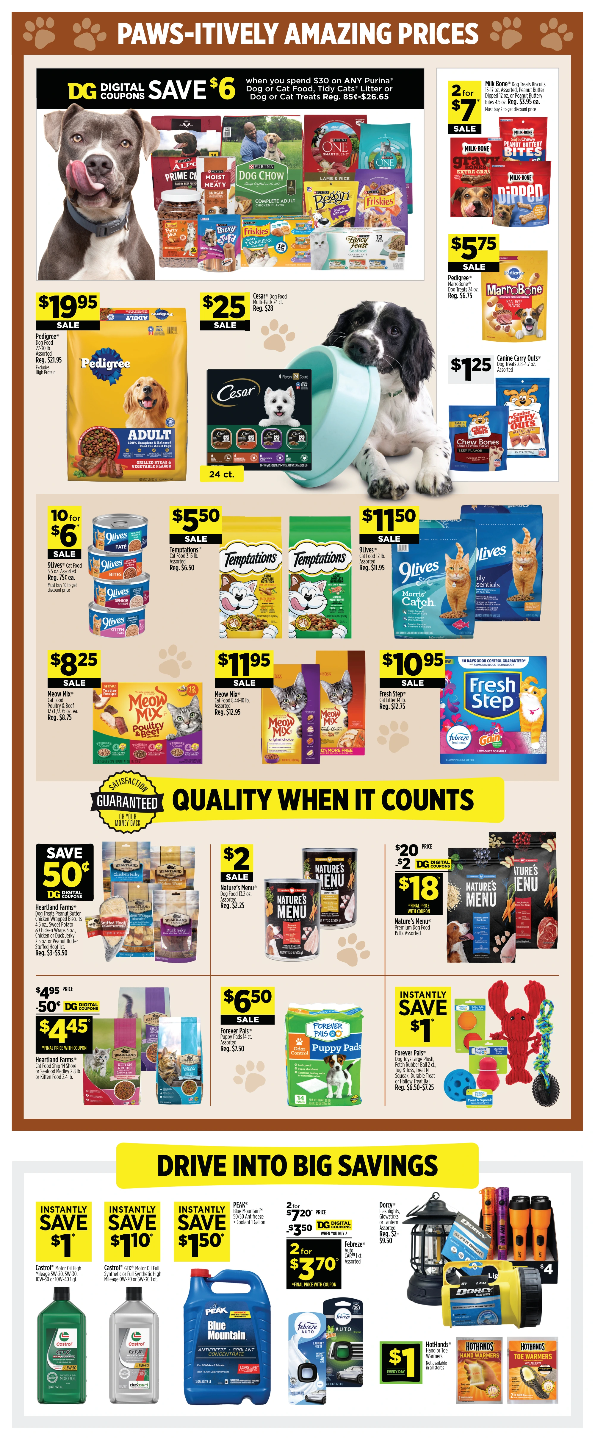 Dollar General Weekly Ad - Page 11