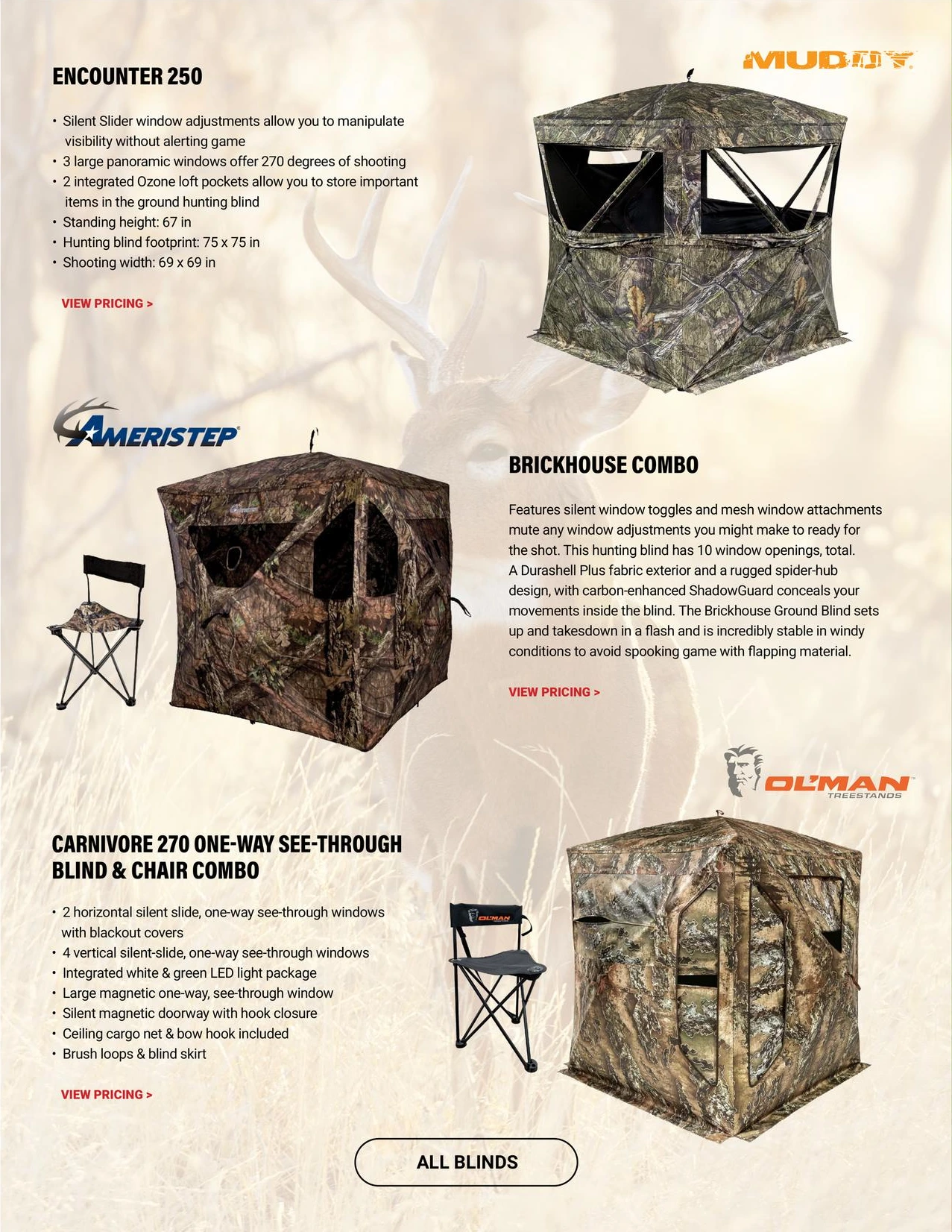 Flyer page 12