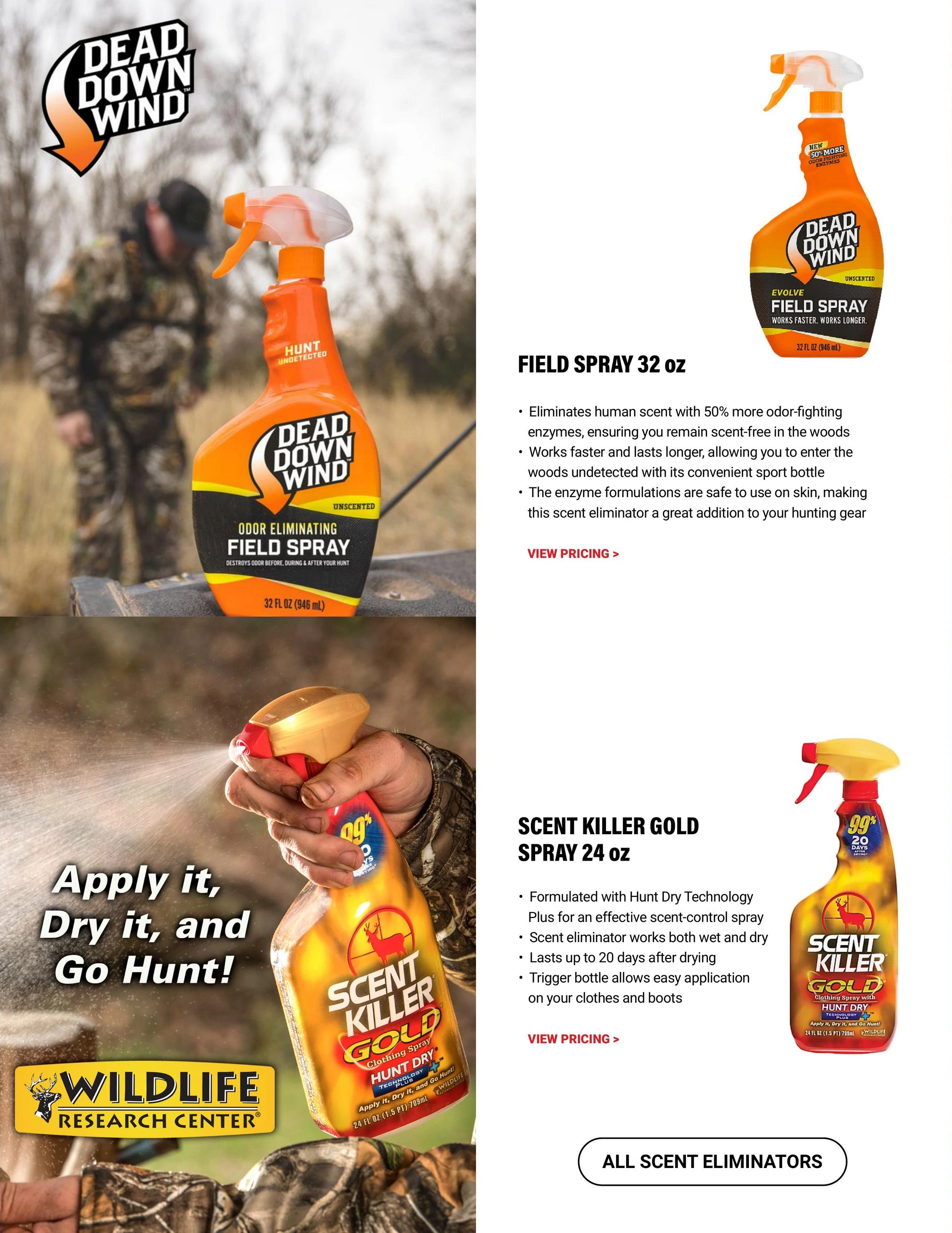 Flyer page 19