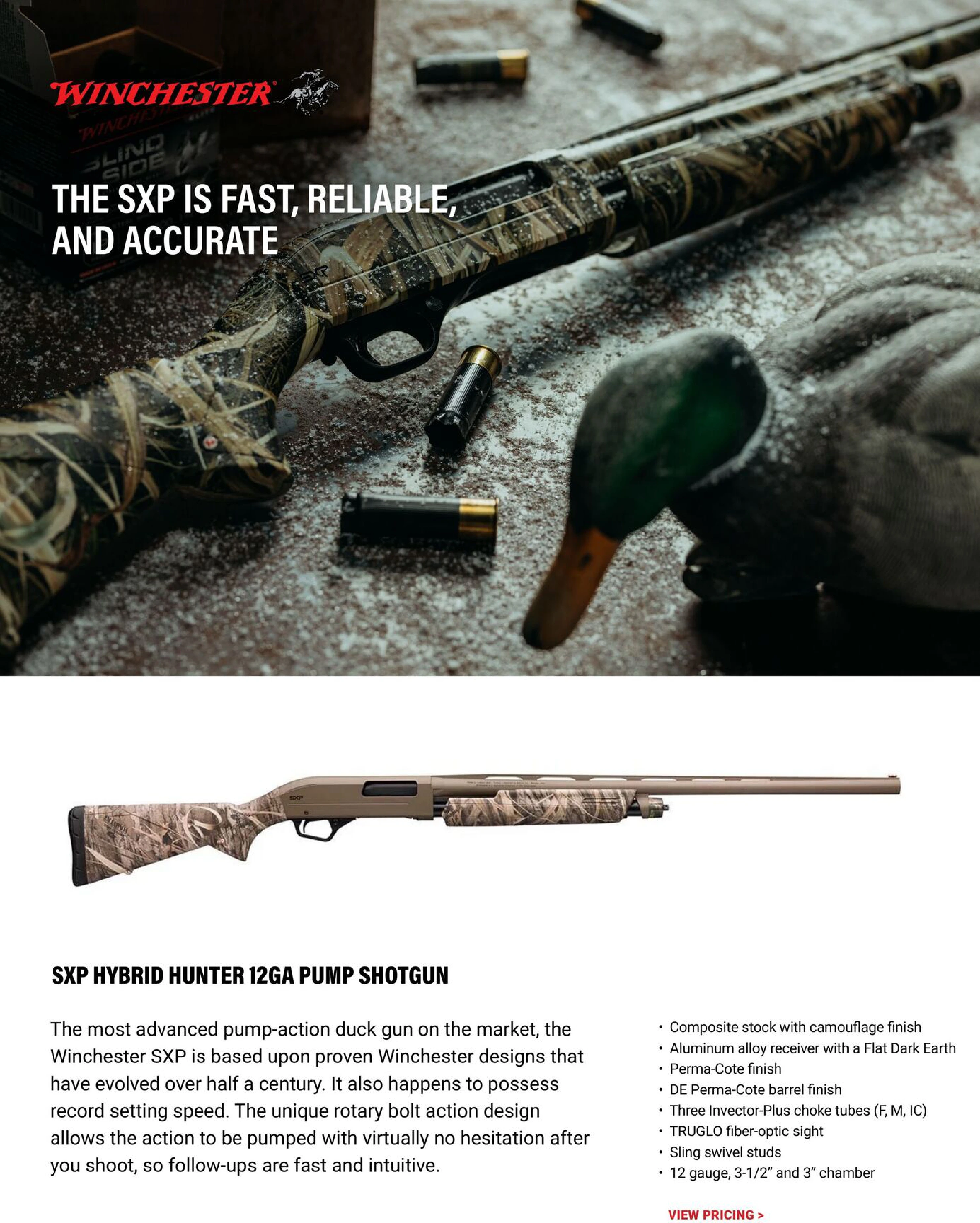 Flyer page 10