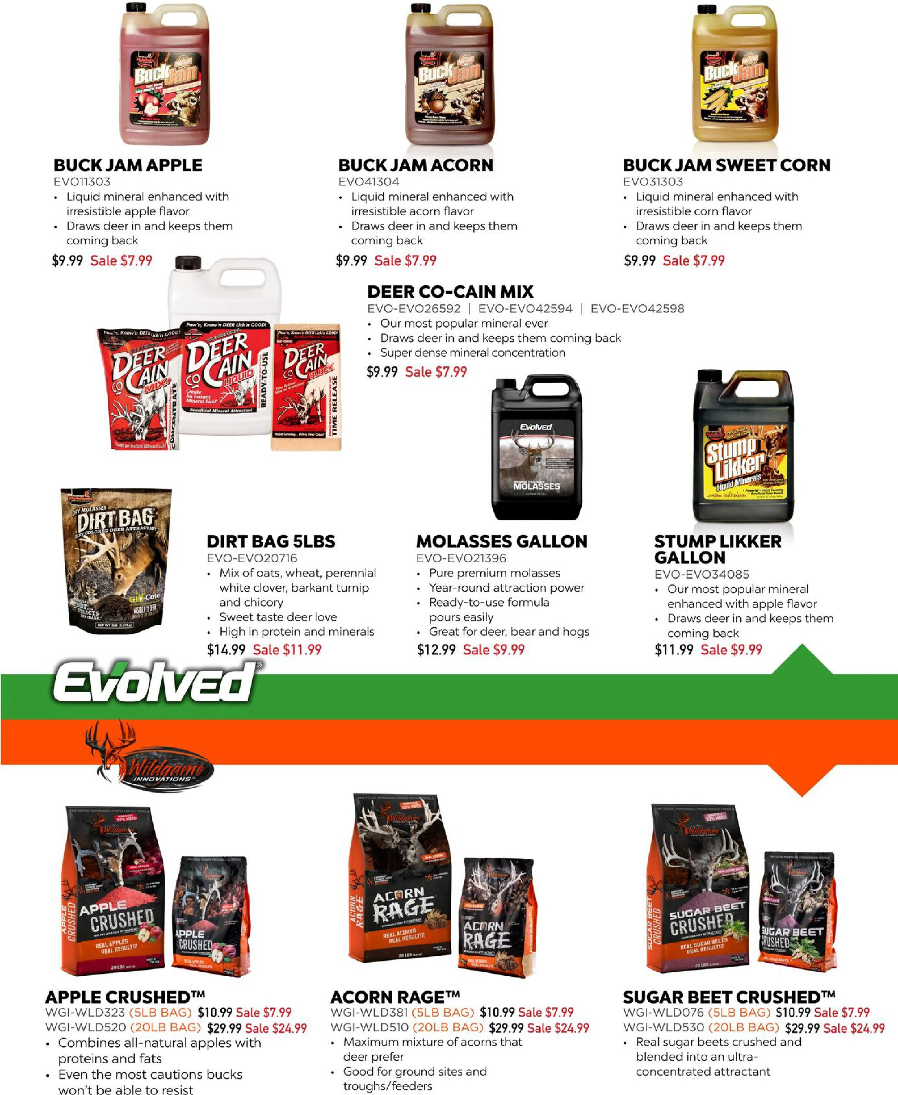 Flyer page 19