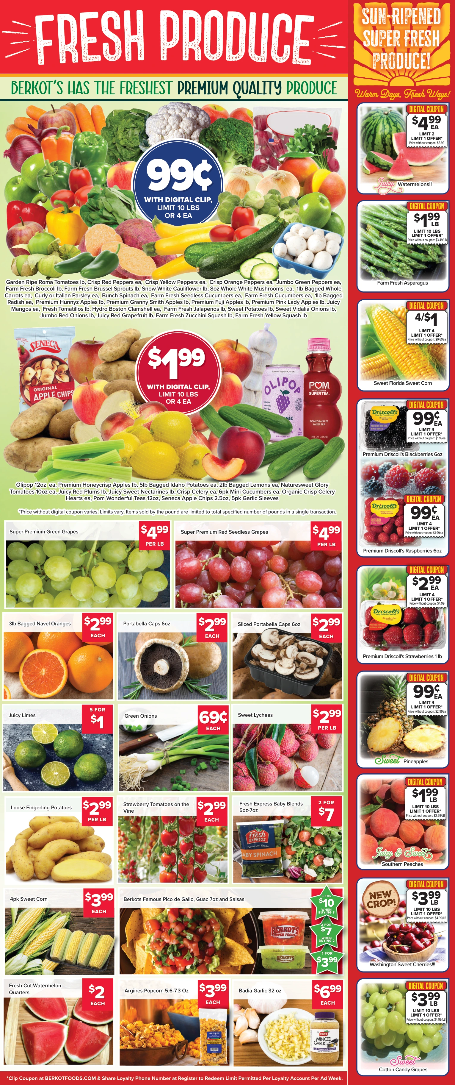 Flyer page 7