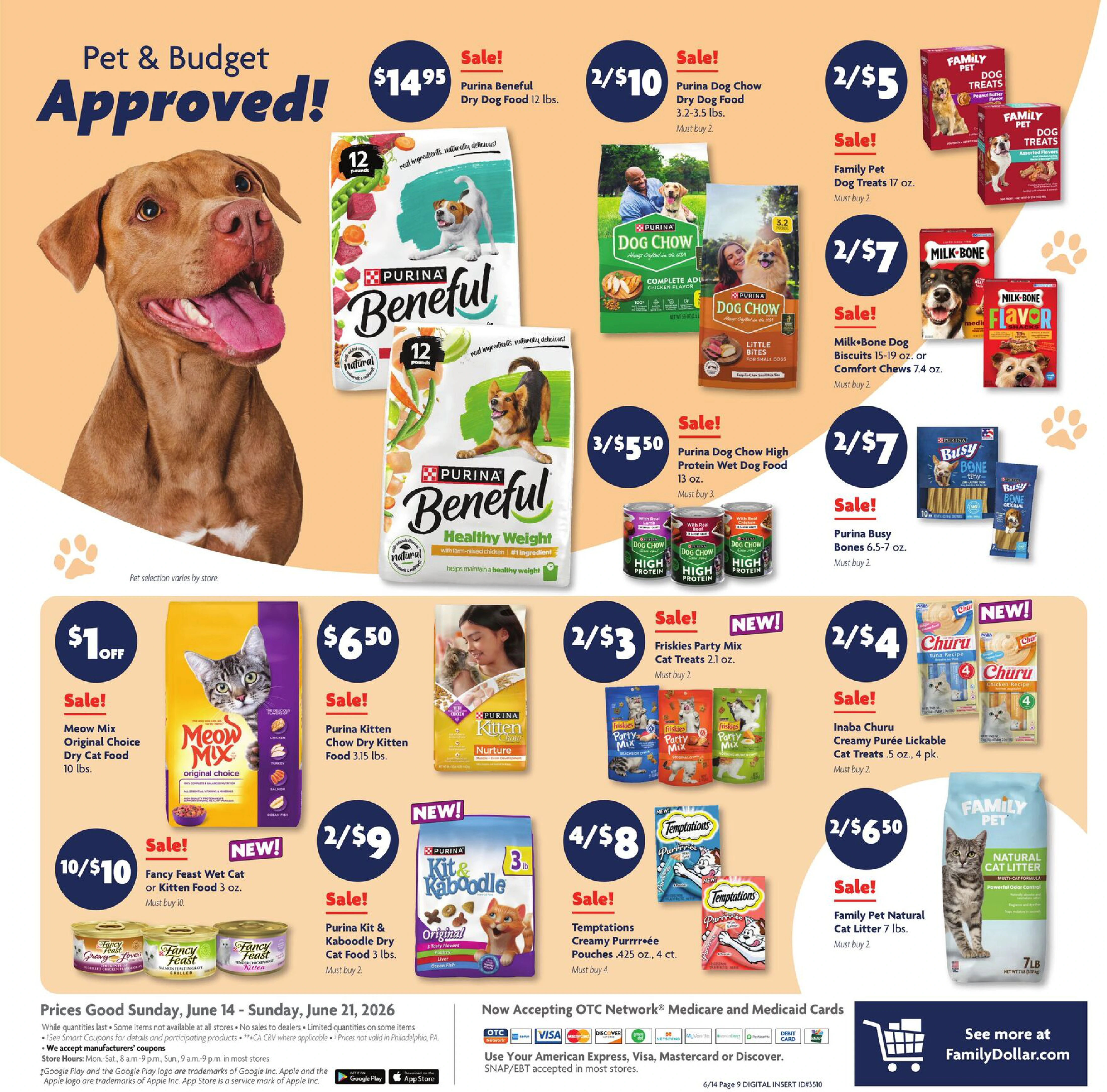 Flyer page 12
