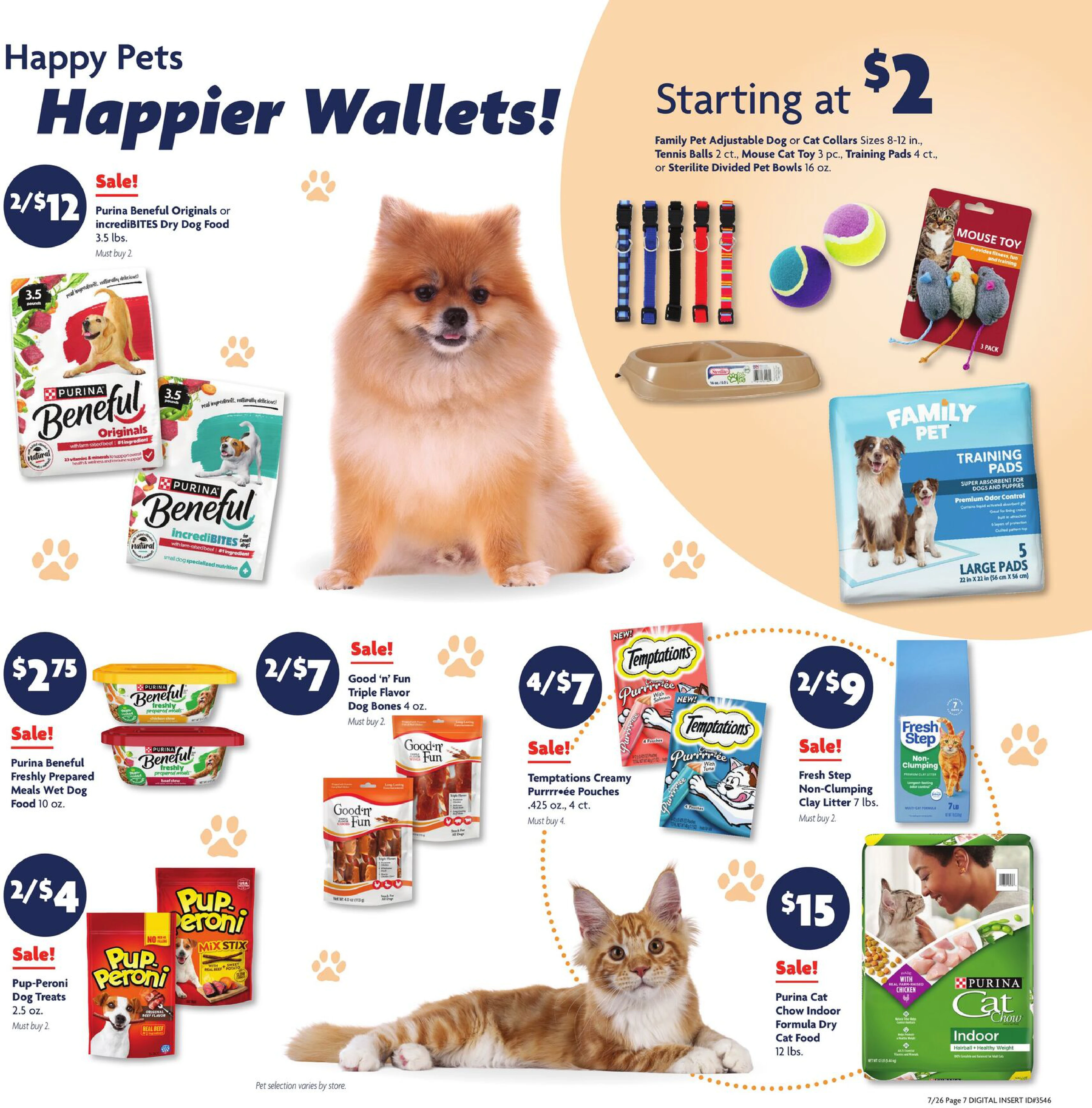 Flyer page 13