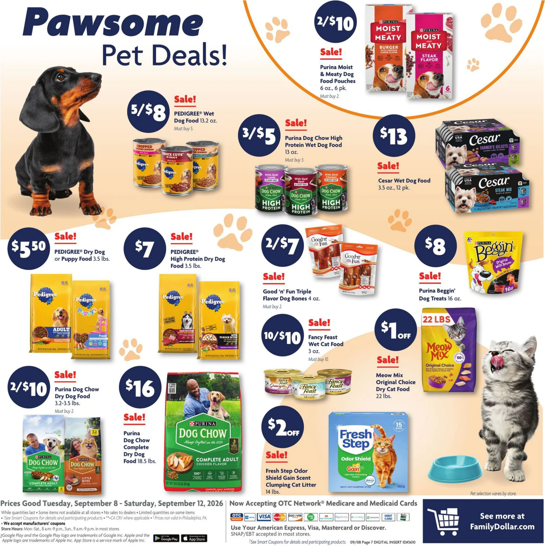 Family Dollar Current Ad - Page 13