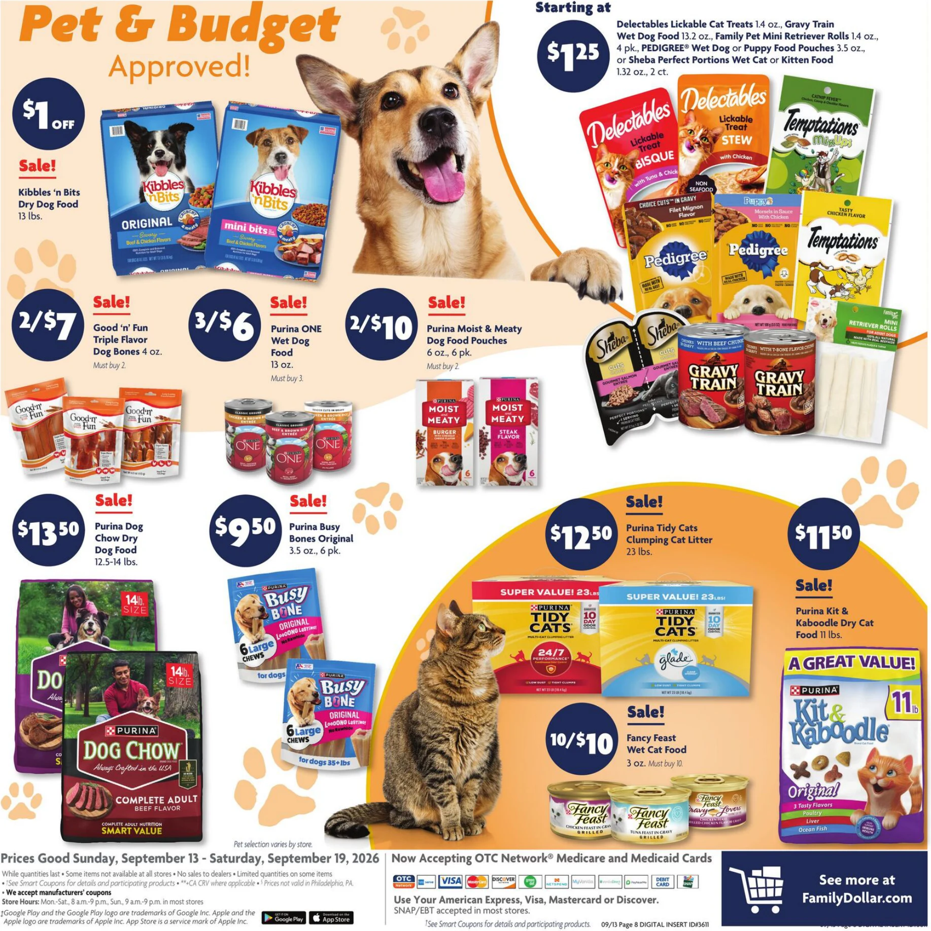 Family Dollar Current Ad - Page 13