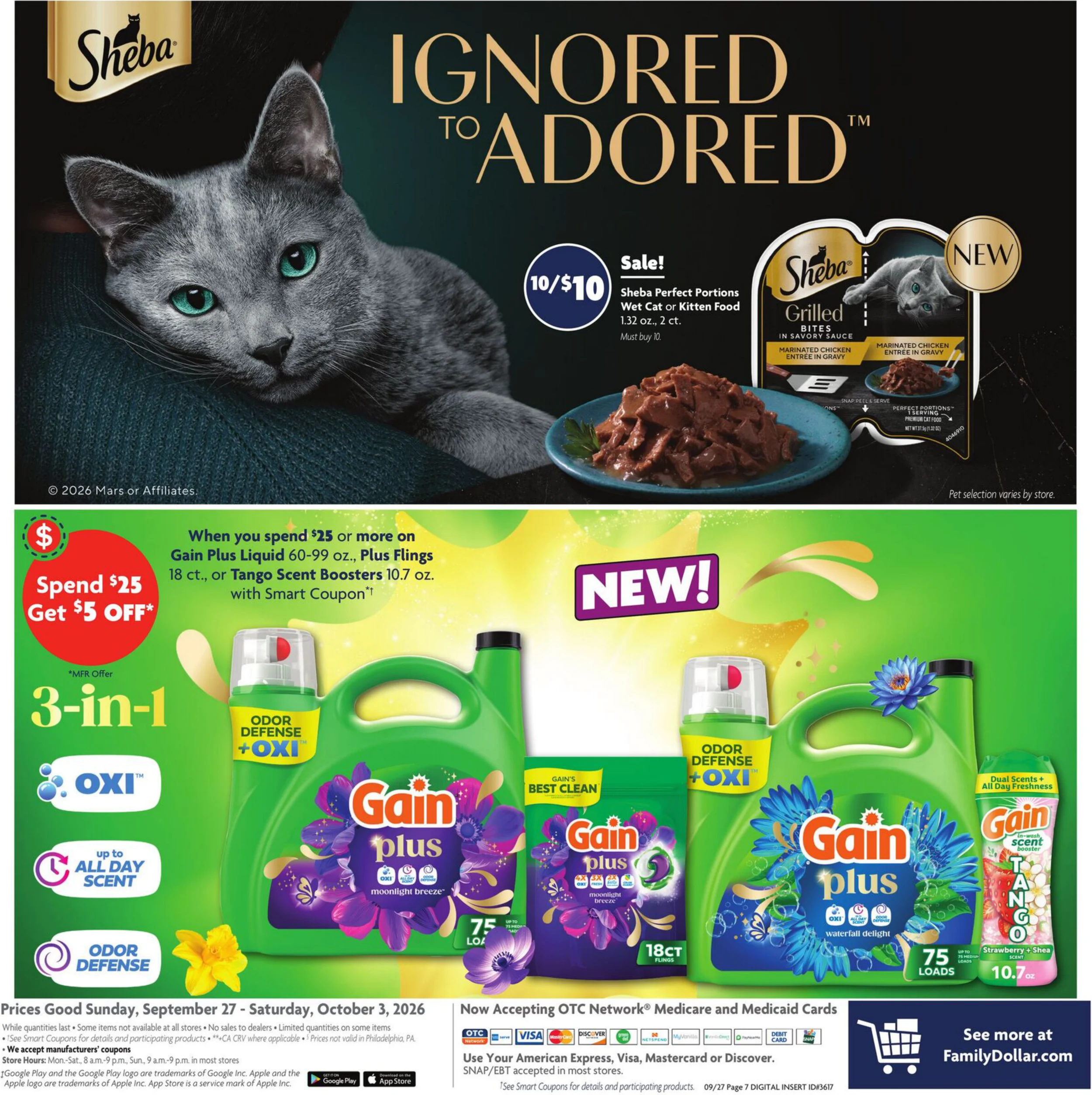 Family Dollar Current Ad - Page 13