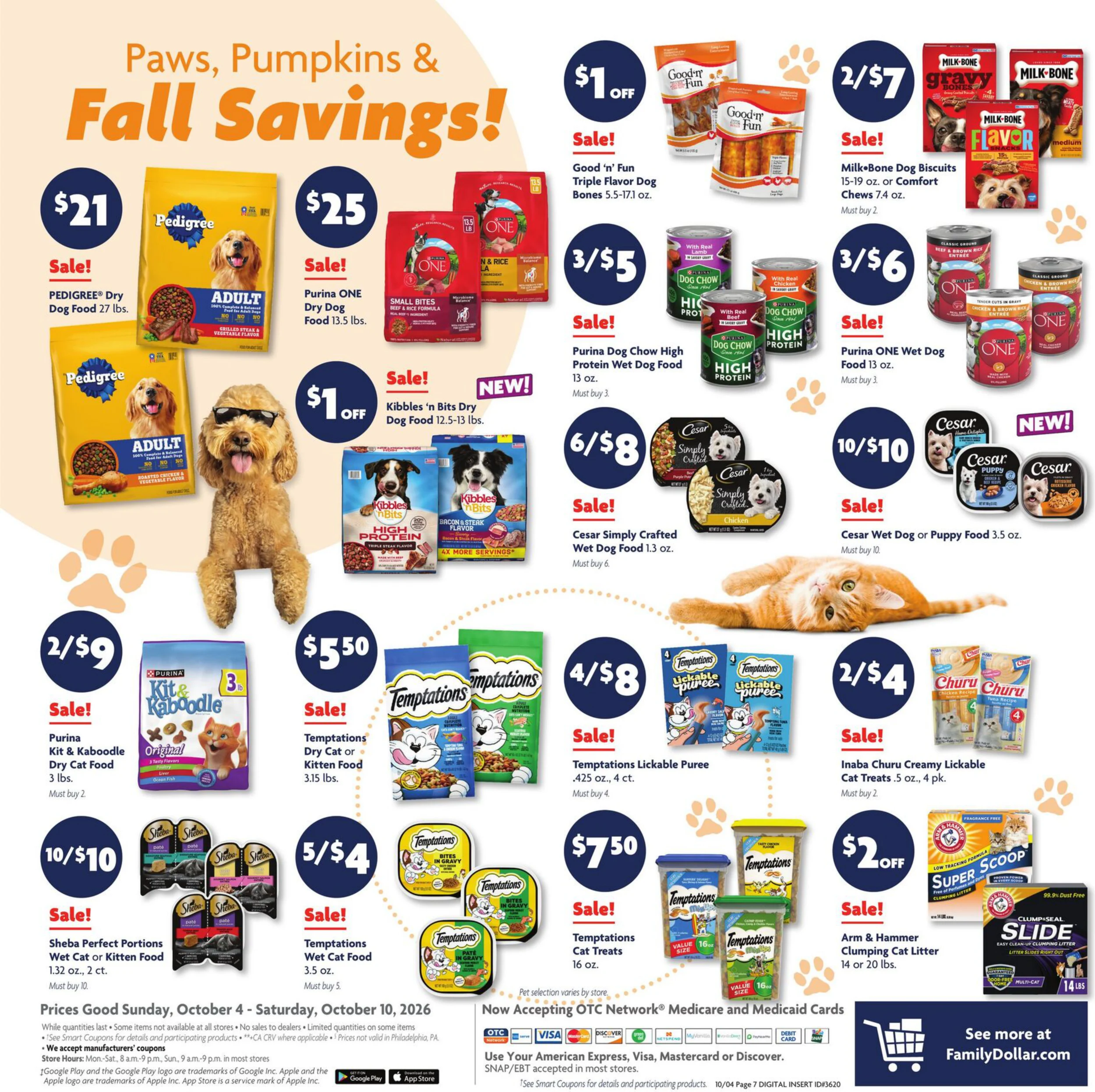 Family Dollar Current Ad - Page 13