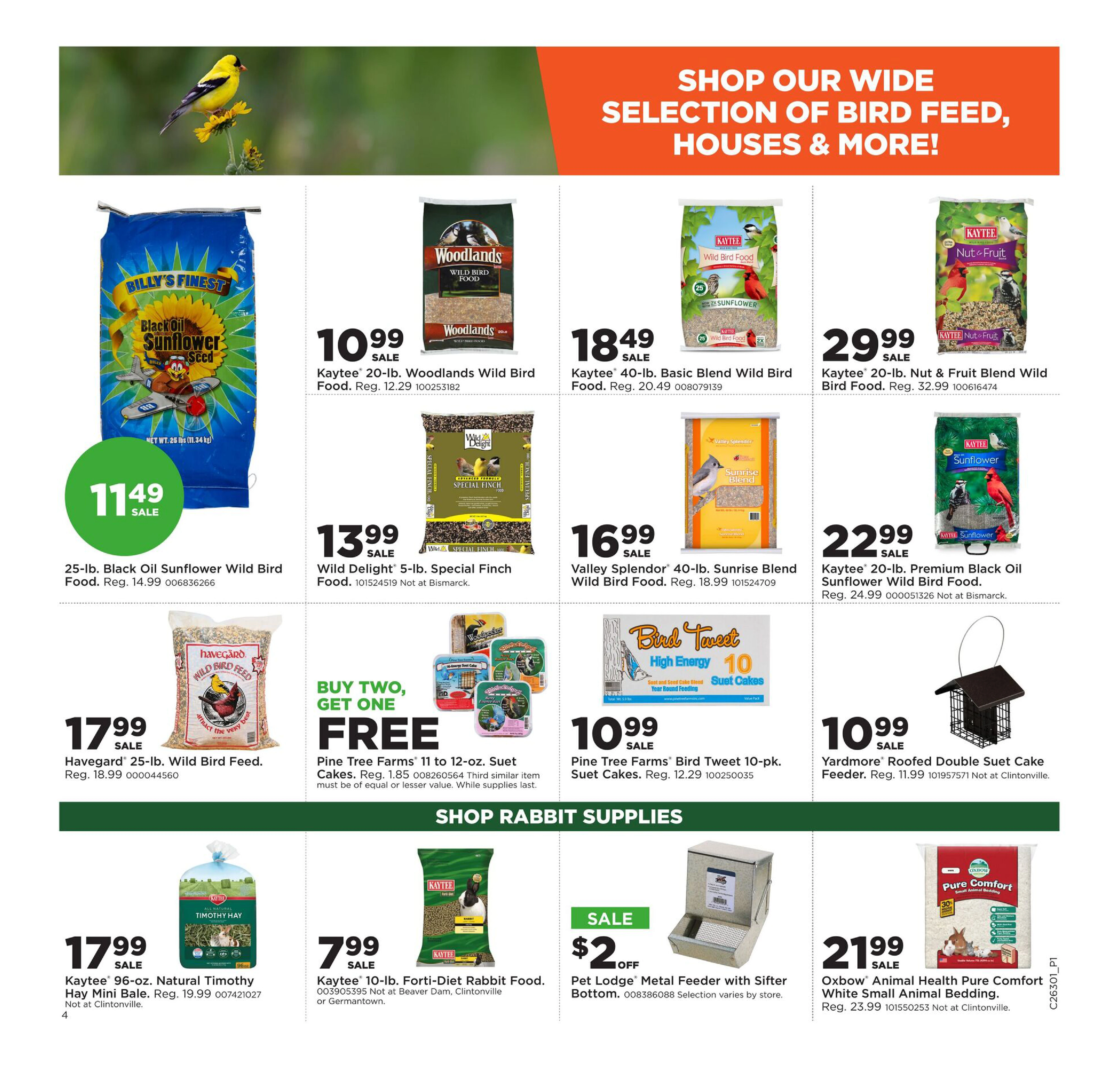 Flyer page 5