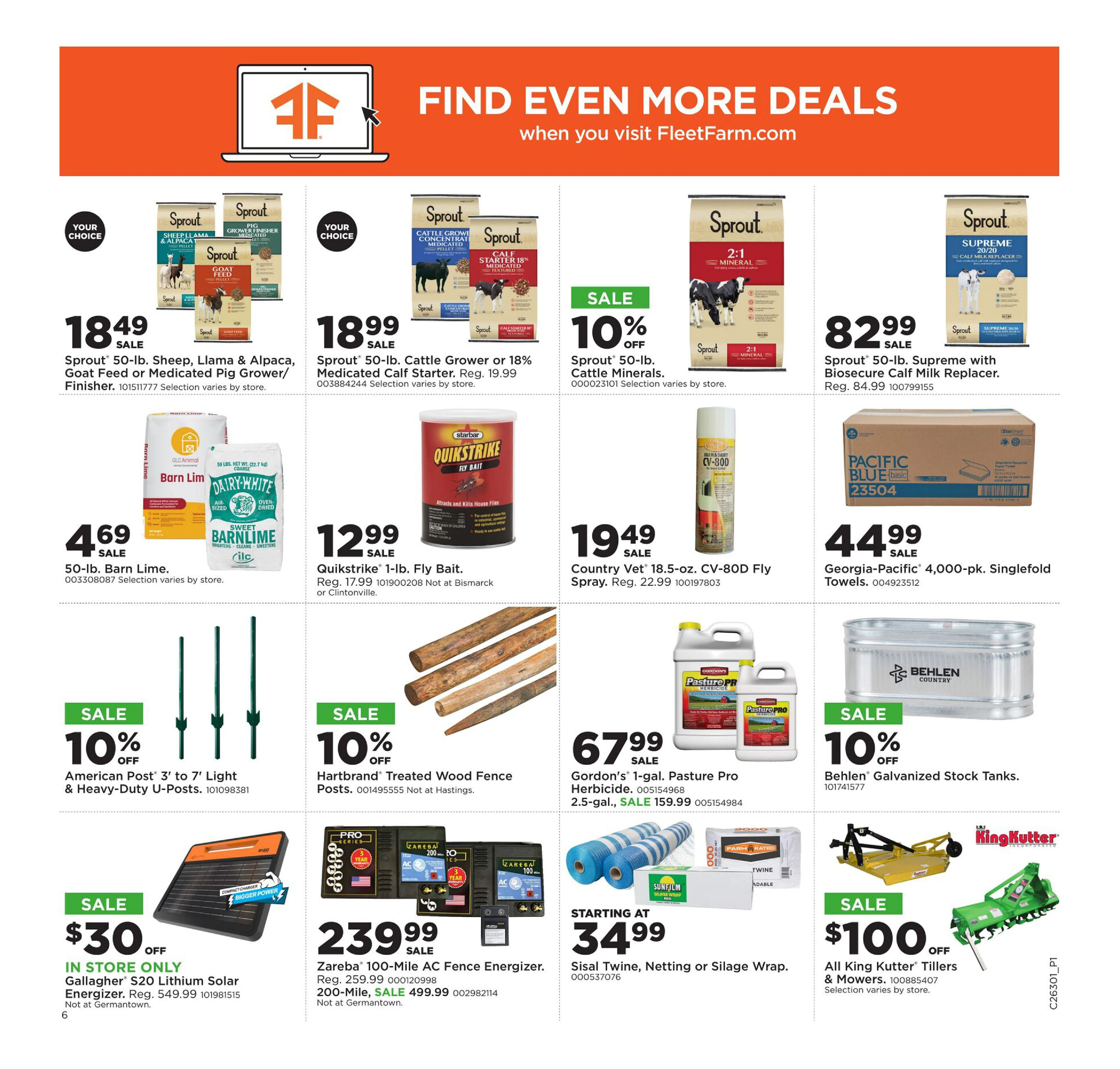 Flyer page 8