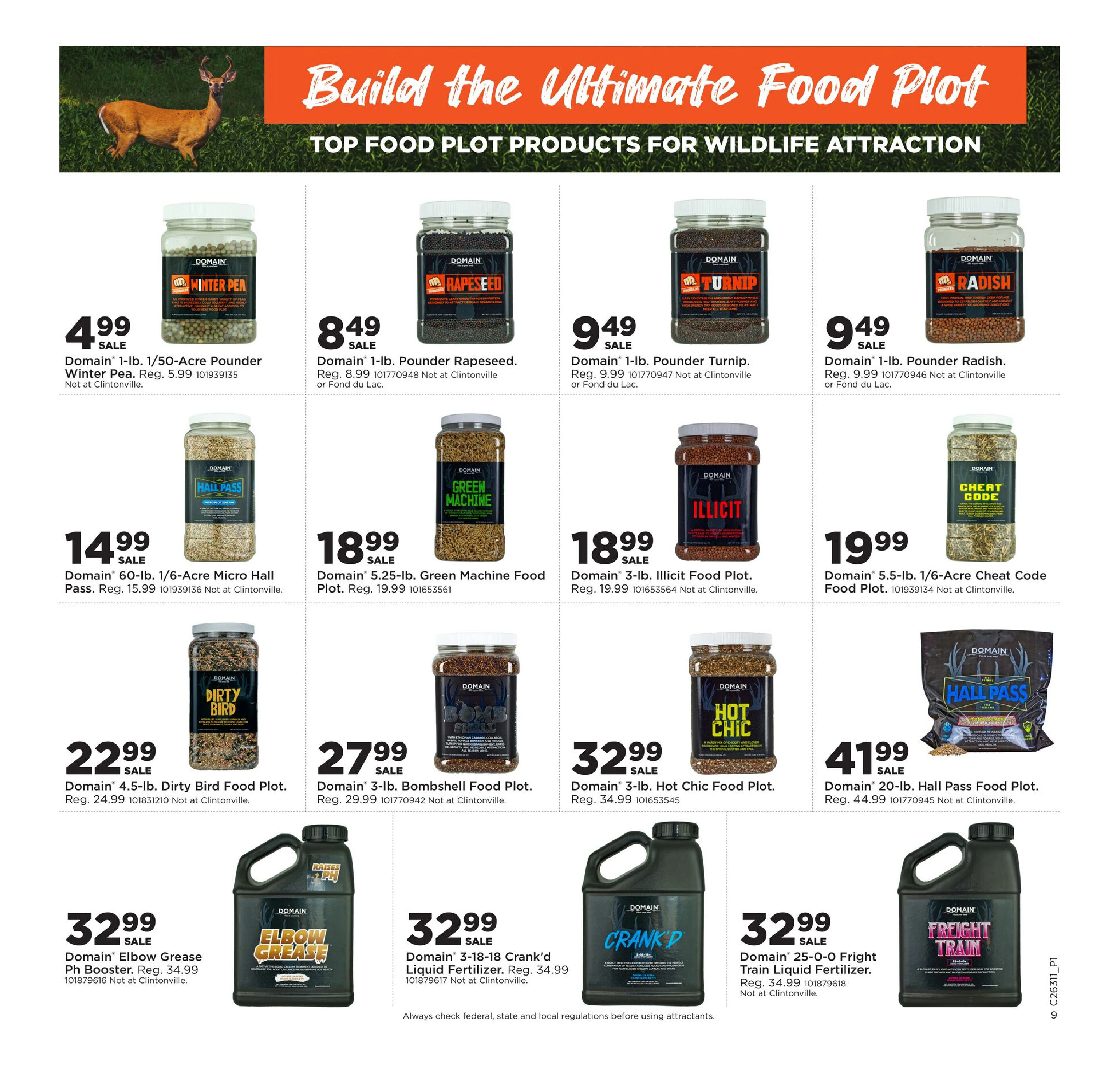 Flyer page 13