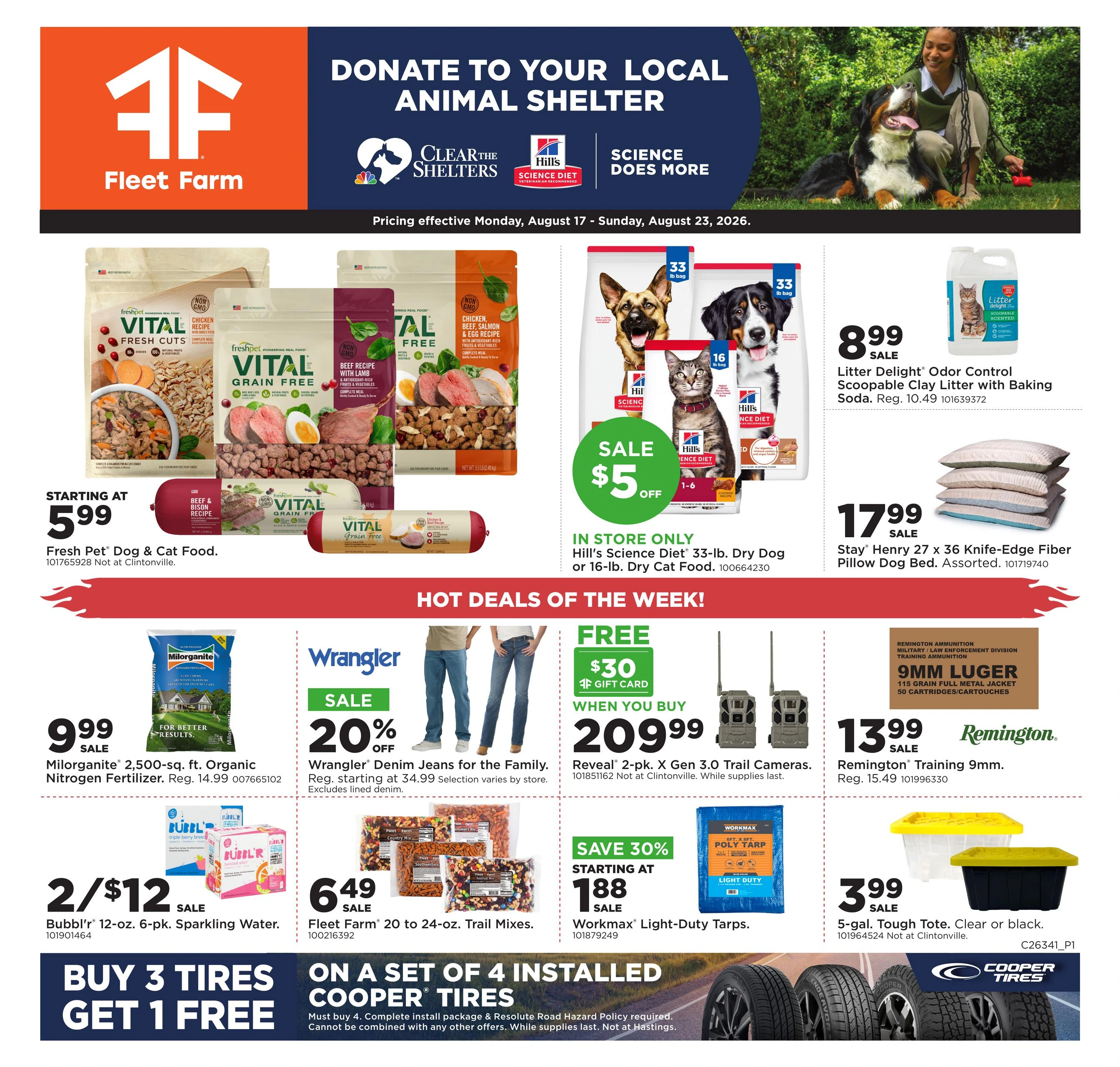 Flyer page 1