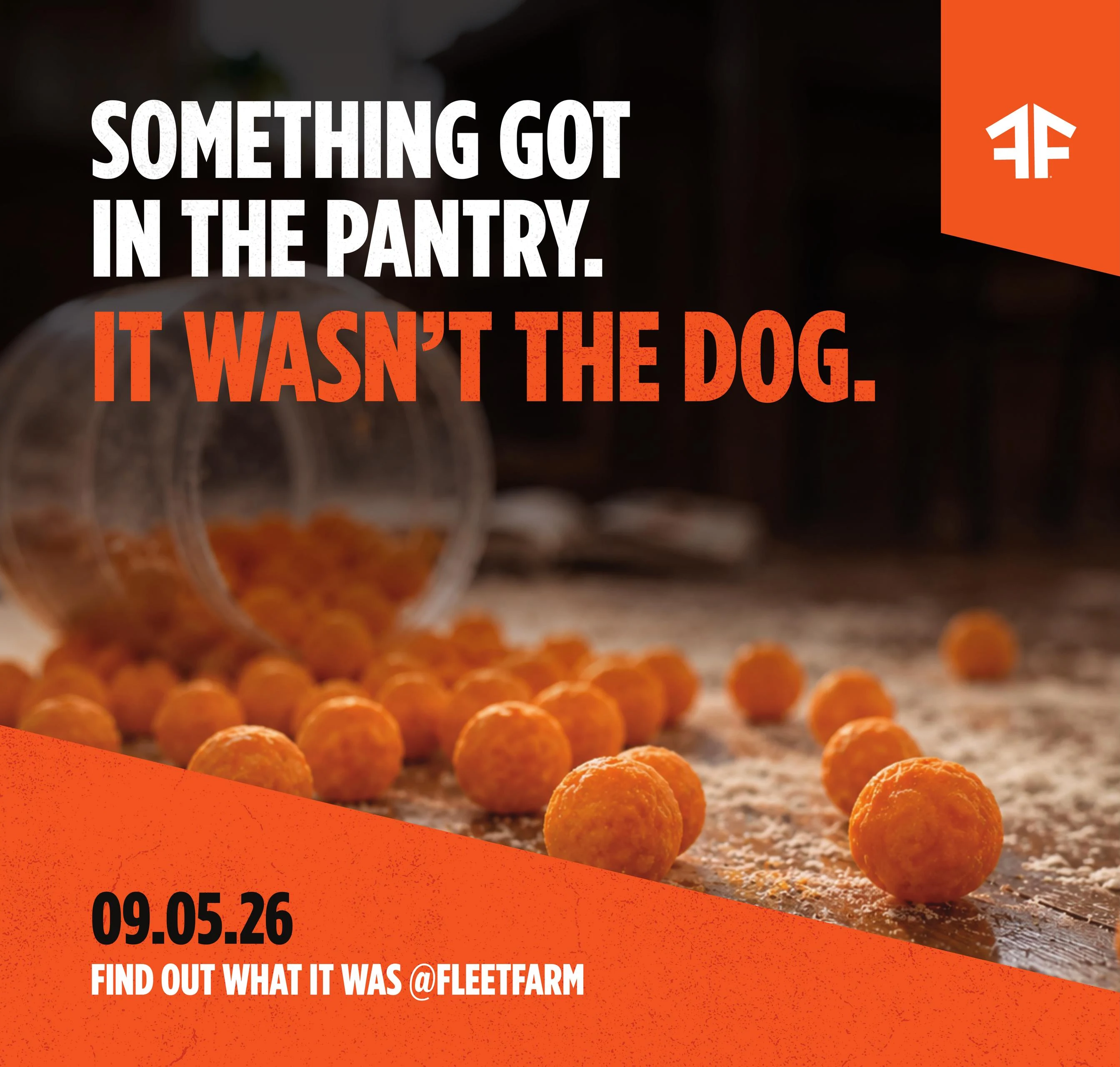 Fleet Farm Weekly Ad - Page 11