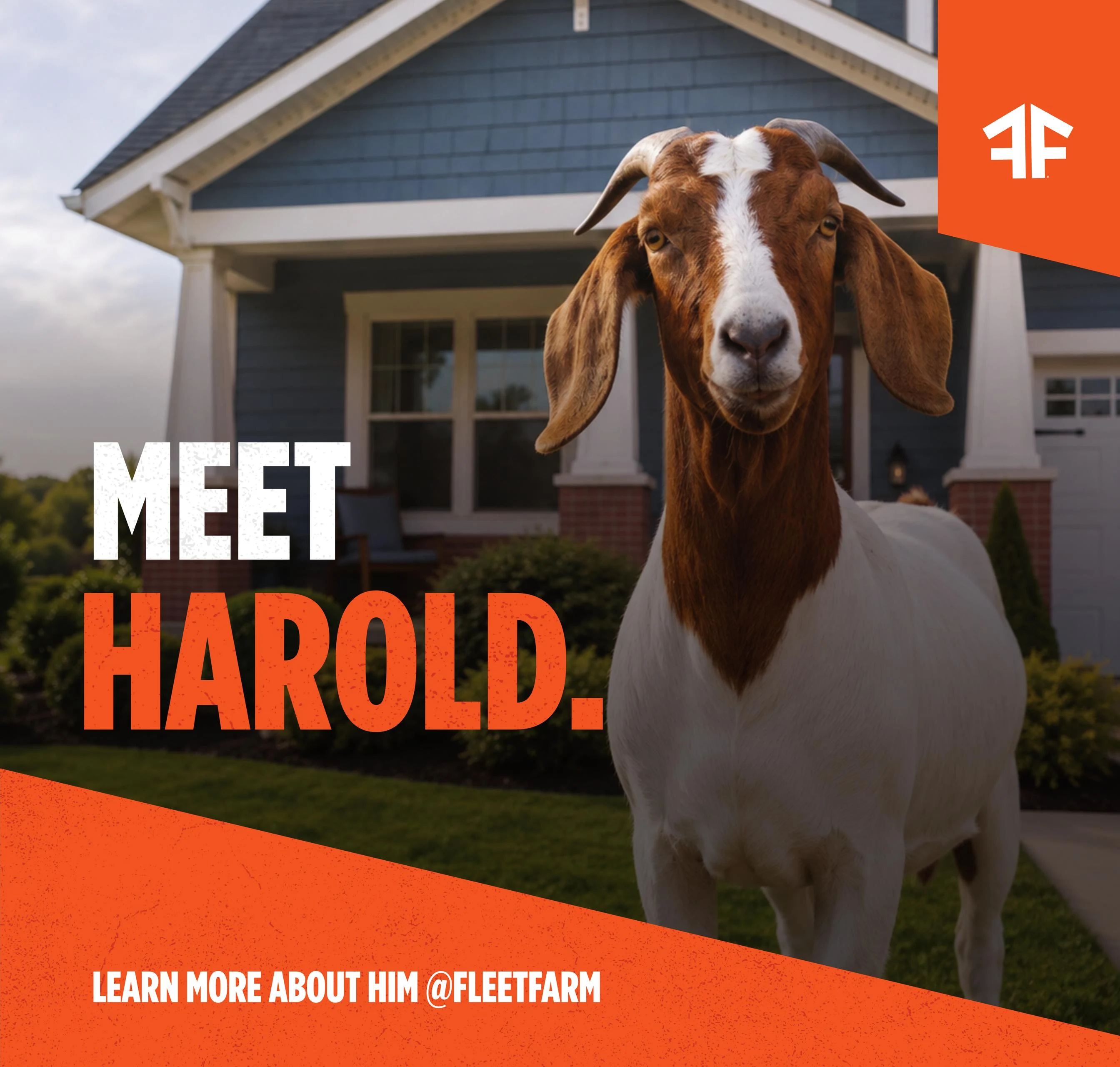 Fleet Farm Weekly Ad - Page 4