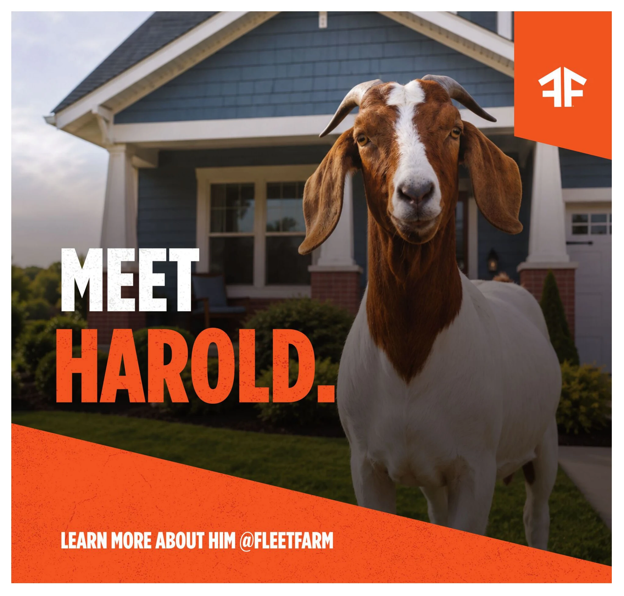 Fleet Farm Weekly Ad - Page 4