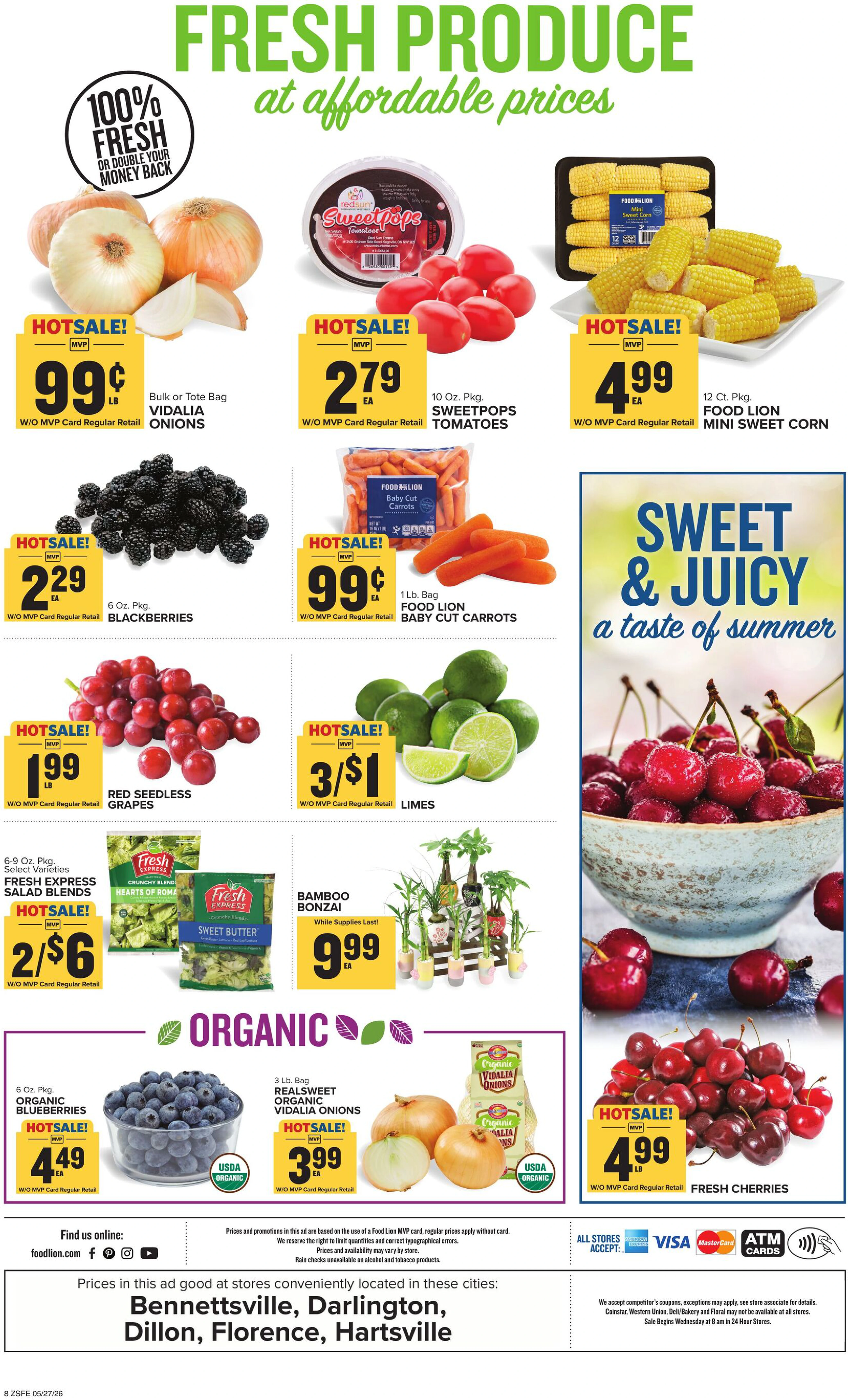 Flyer page 3