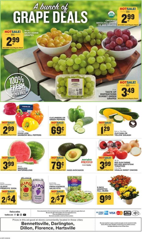Food Lion Weekly Ad - Page 3