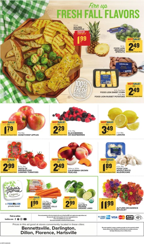 Food Lion Weekly Ad - Page 3
