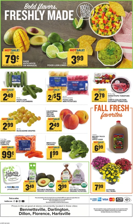 Food Lion Weekly Ad - Page 3