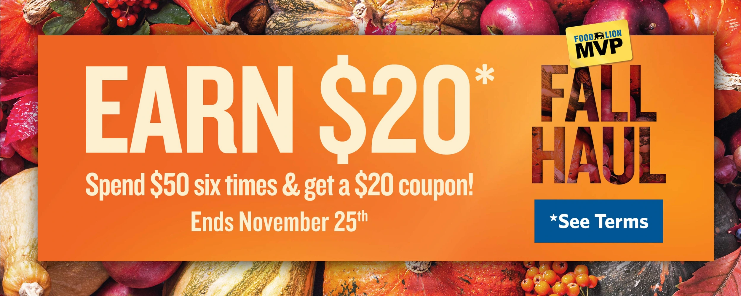 Food Lion Weekly Ad - Page 5