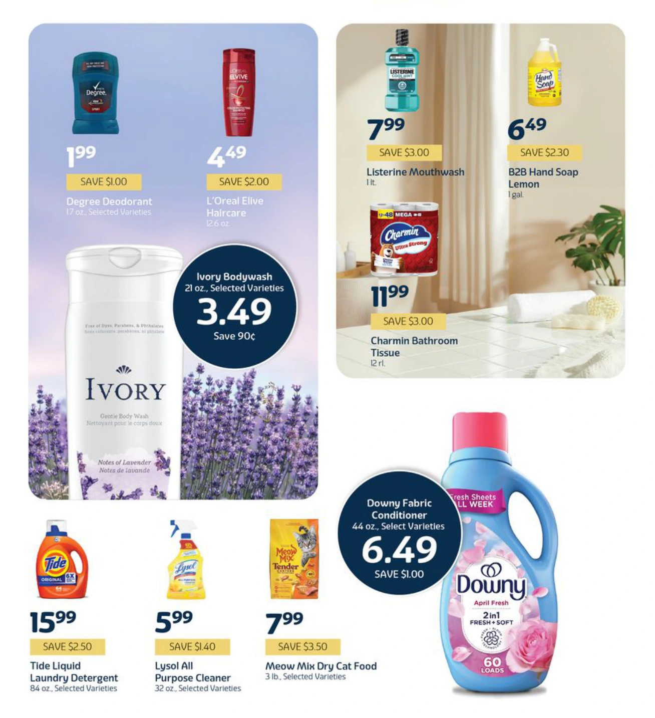 Flyer page 5