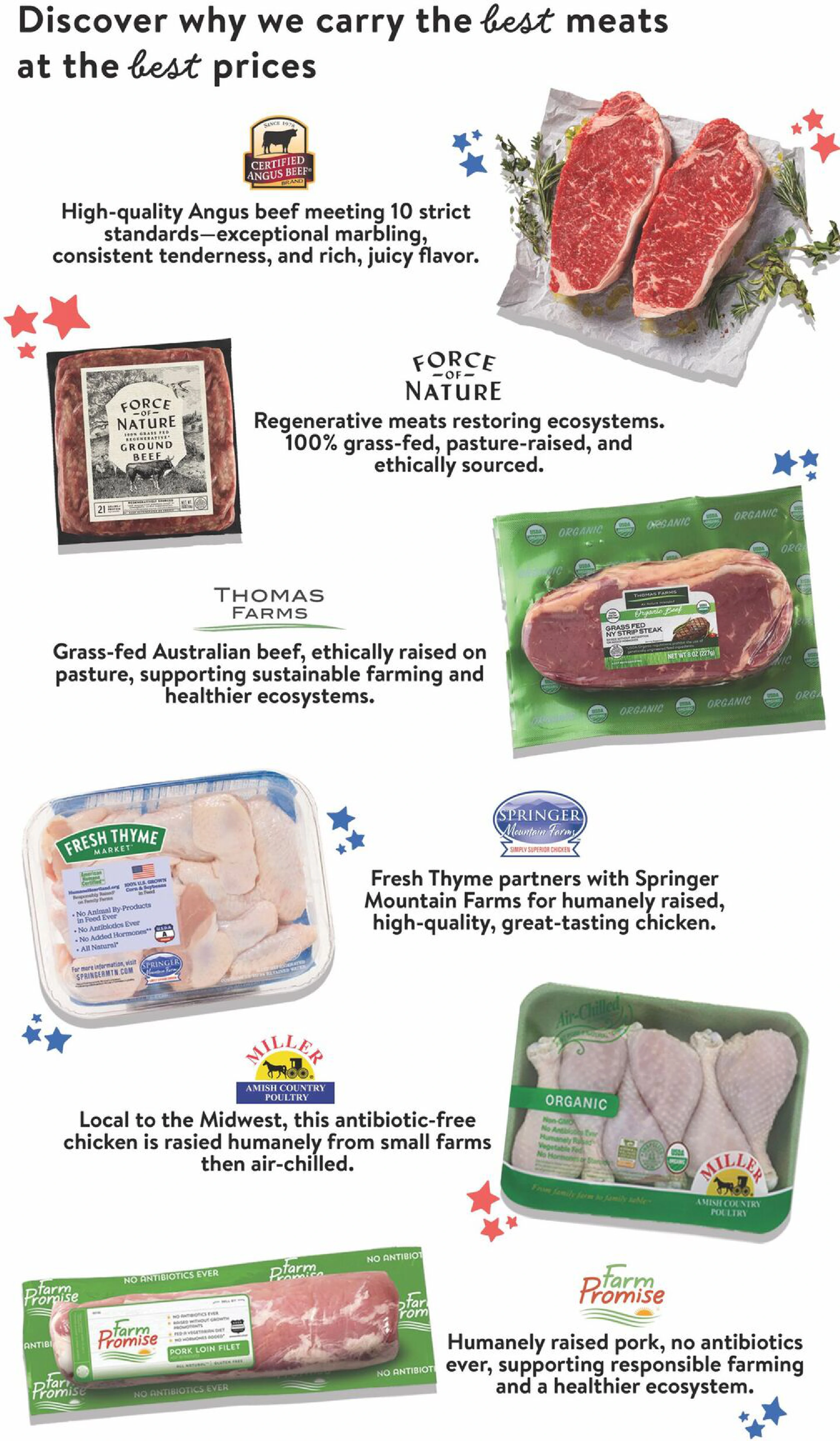 Flyer page 4