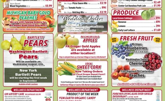 Flyer page 1