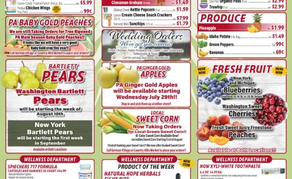 Flyer page 3