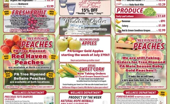 Flyer page 4