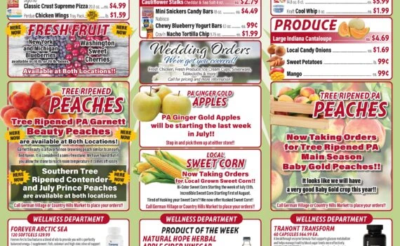Flyer page 5