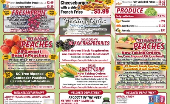 Flyer page 6