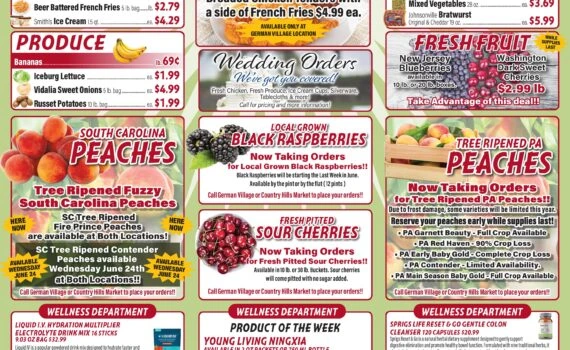 Flyer page 8