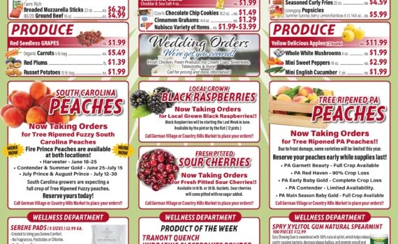 Flyer page 9