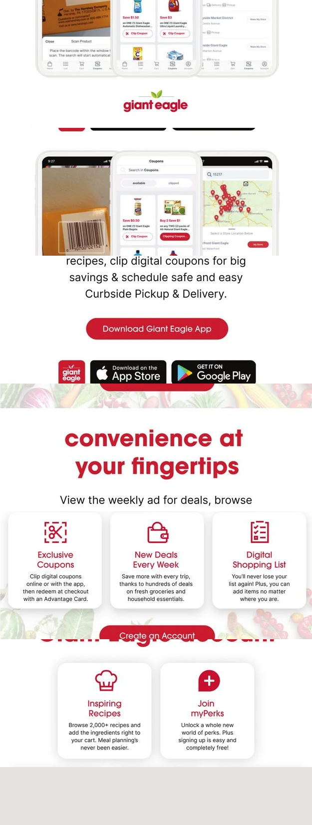 Flyer page 6