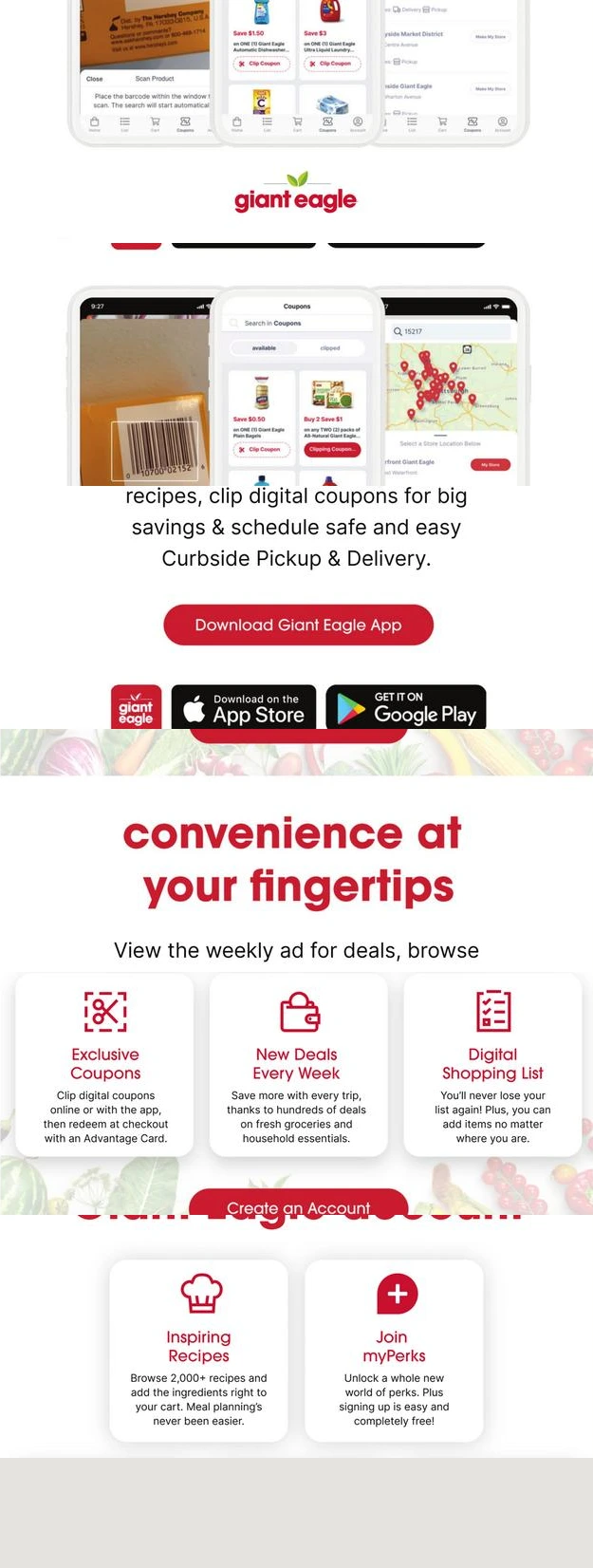 Flyer page 8
