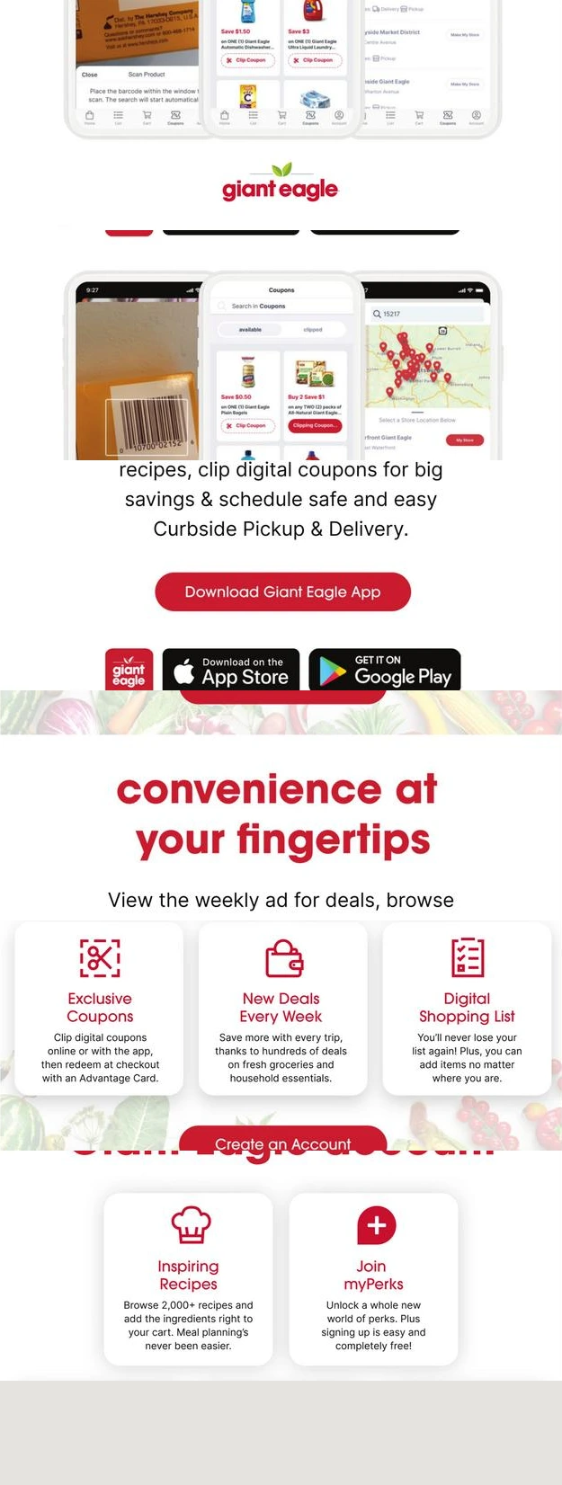 Flyer page 7