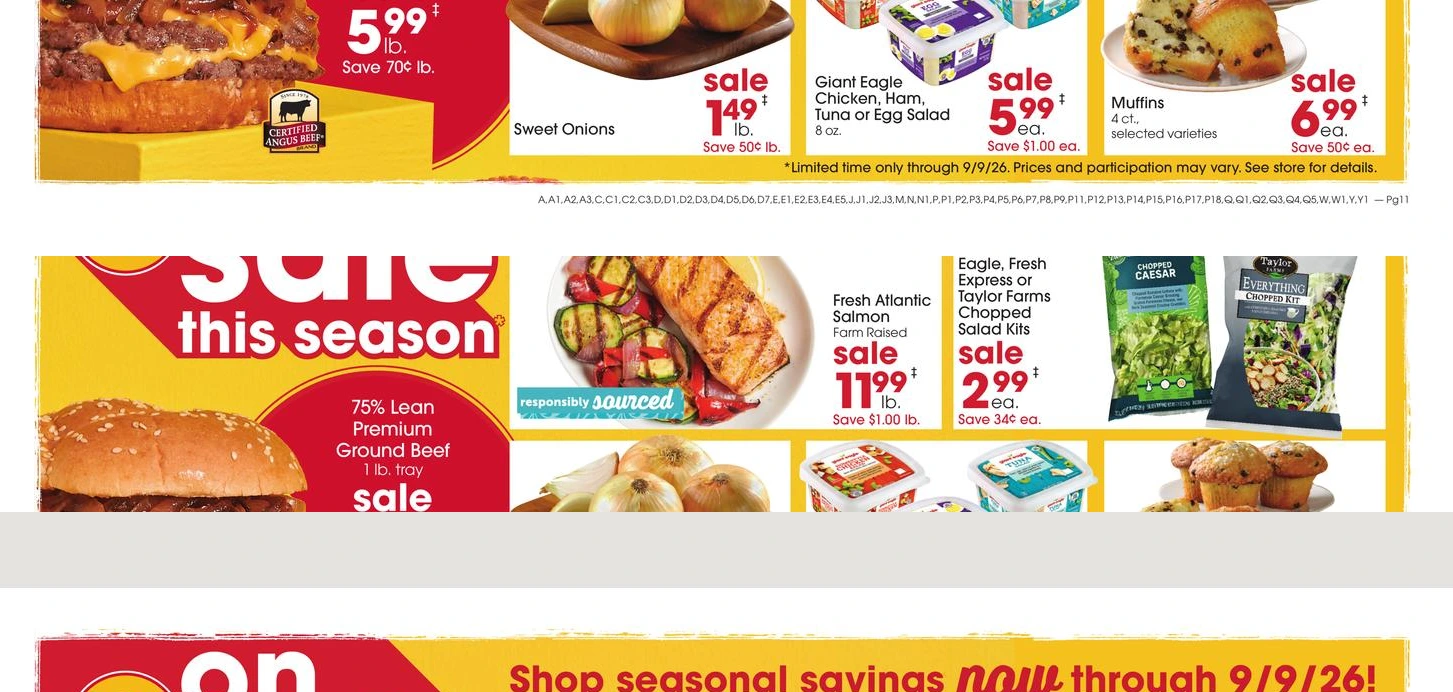 Flyer page 11