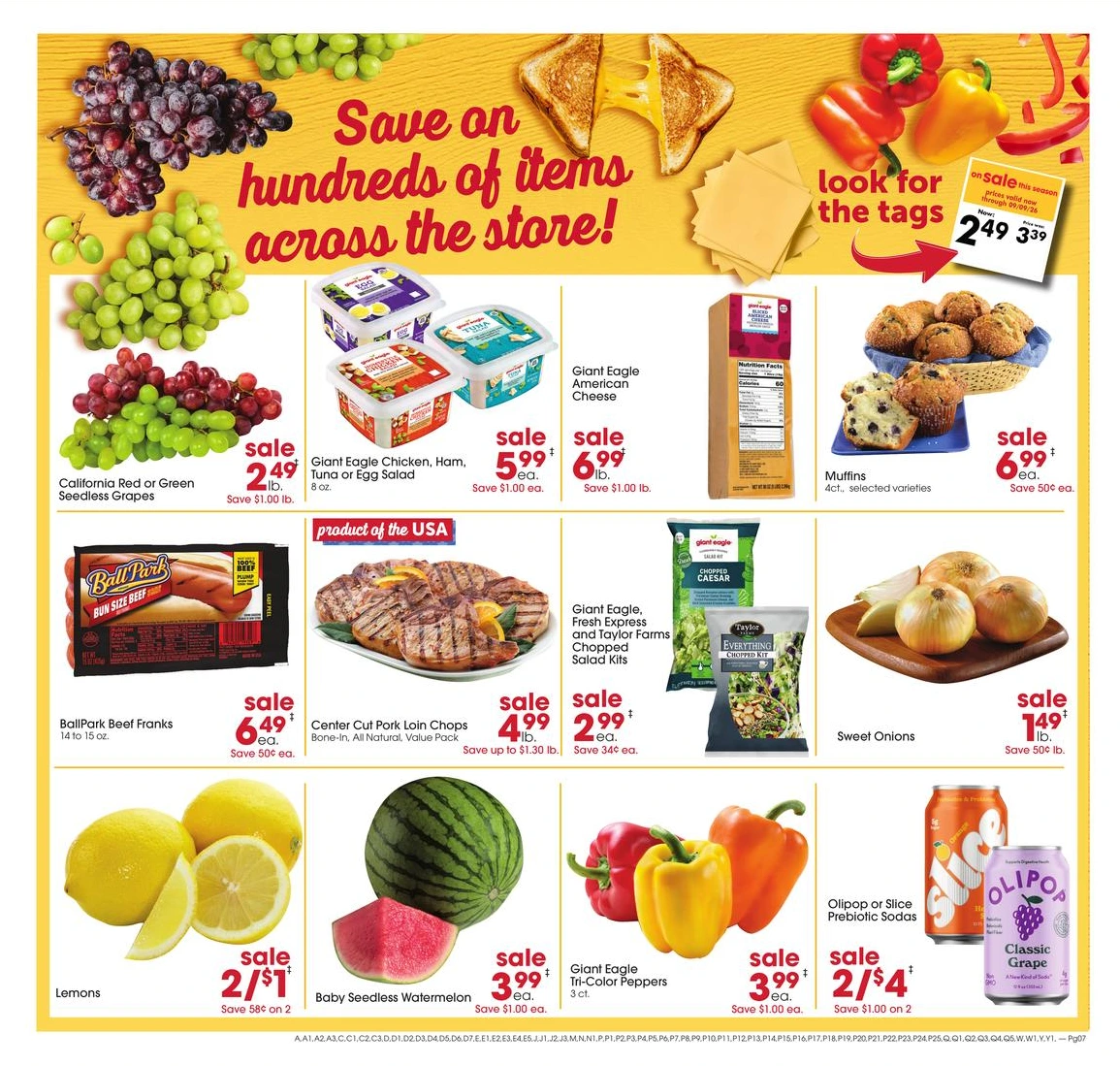 Flyer page 5