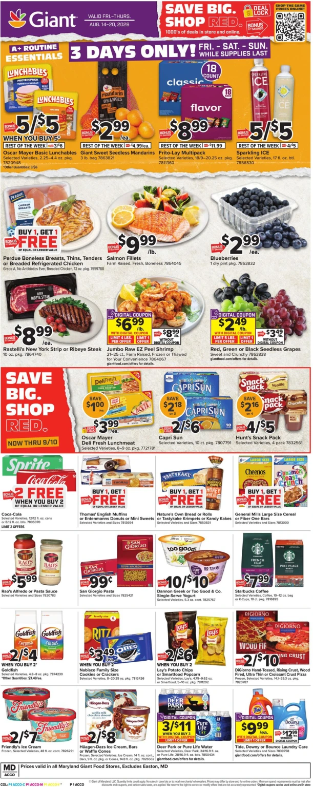 Flyer page 1
