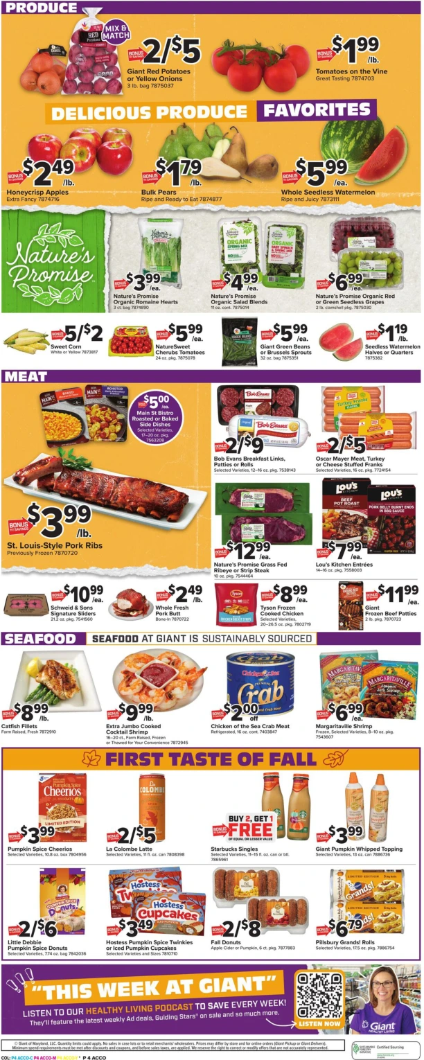 Flyer page 9