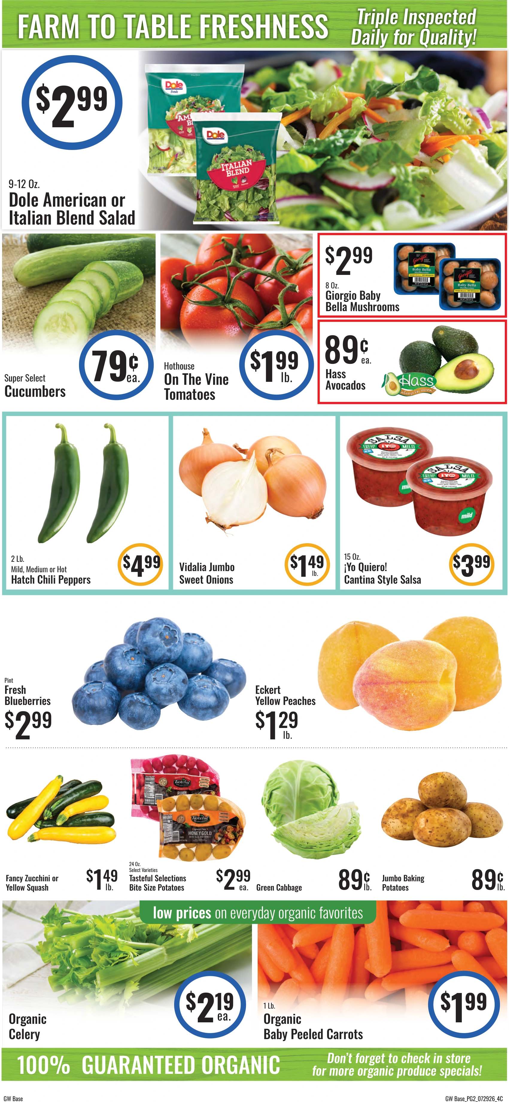 Flyer page 4