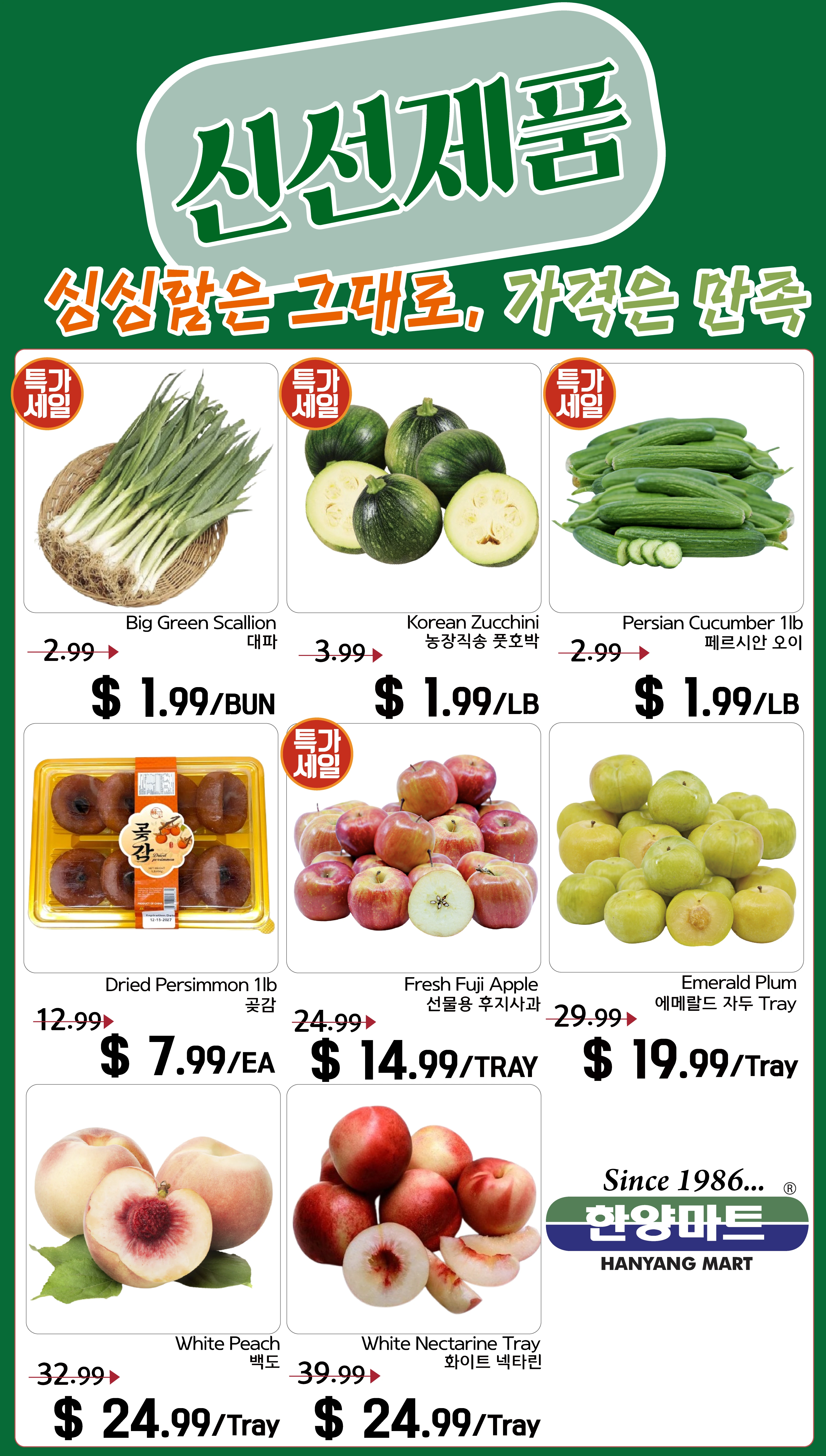 Flyer page 1