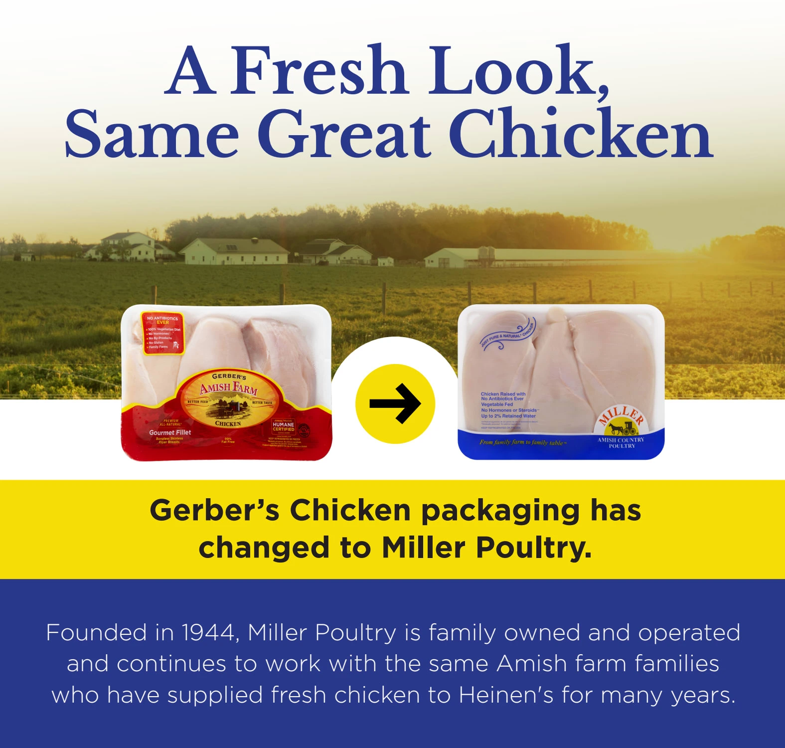 Flyer page 7