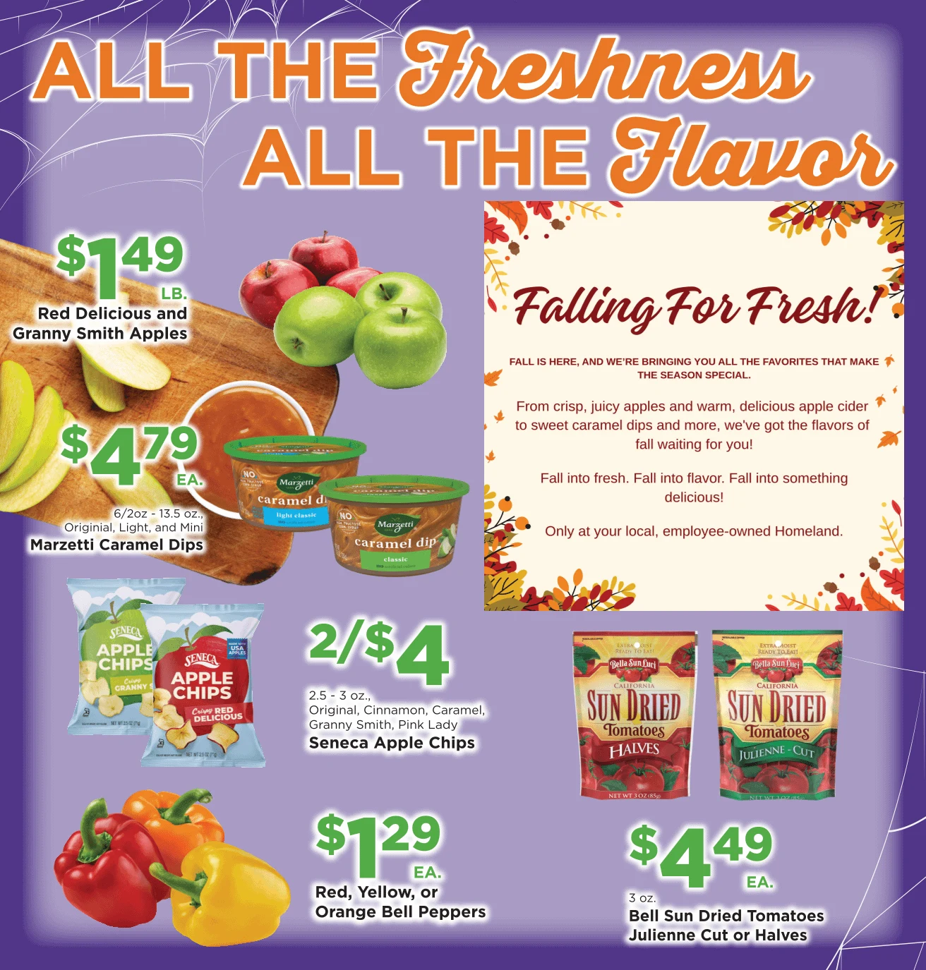 Homeland Bring Savings Home Shopper's Guide - Page 2