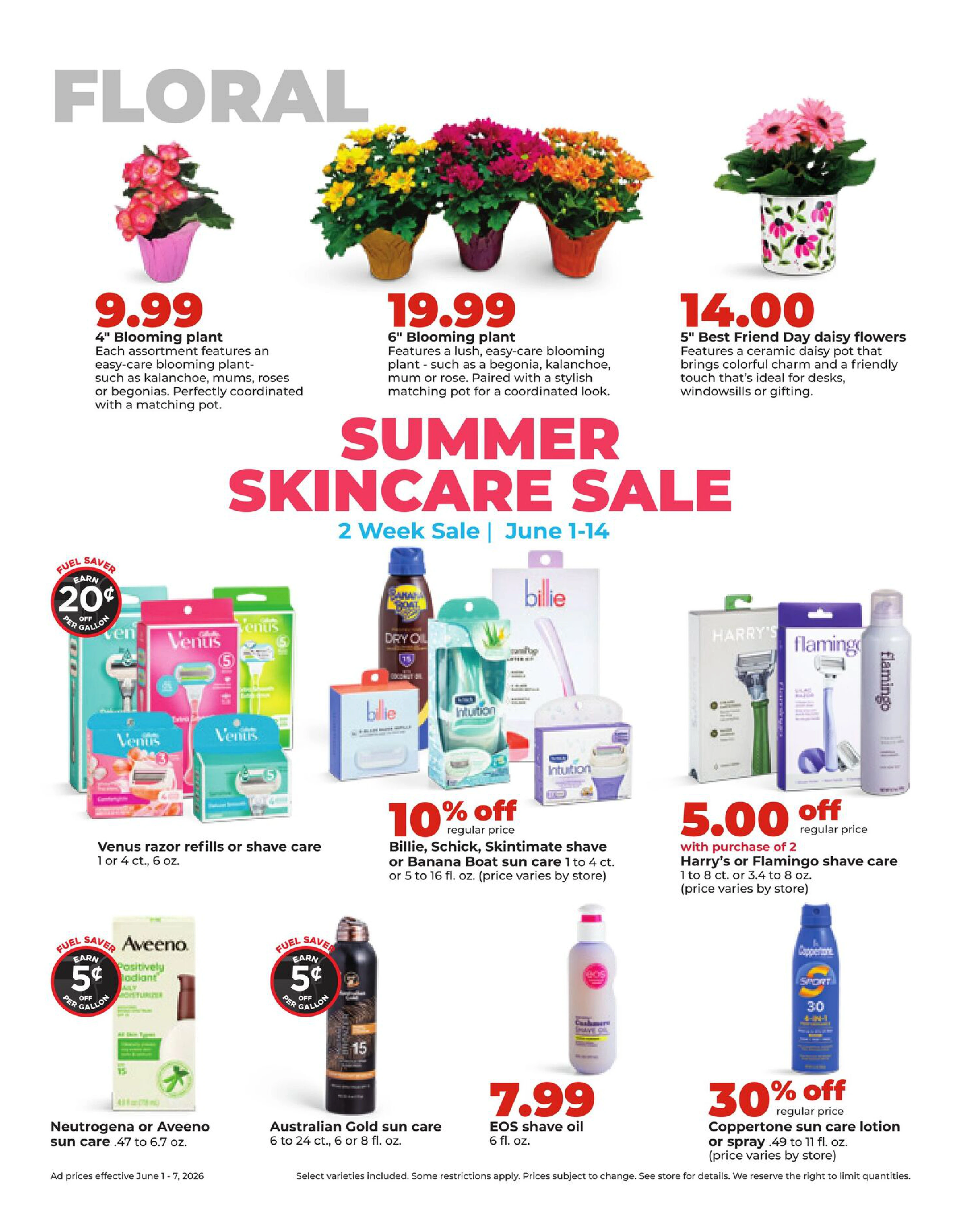 Flyer page 29