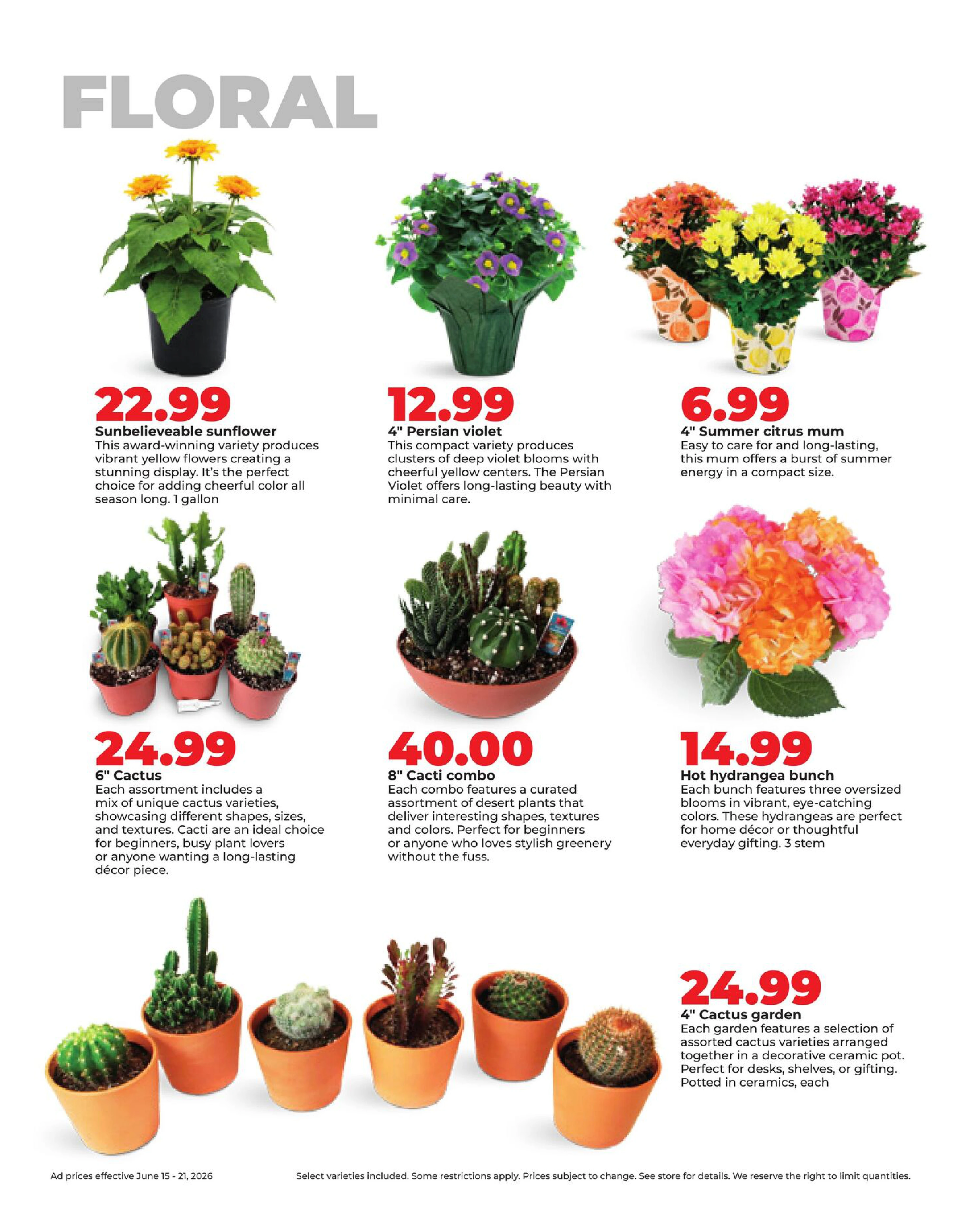 Flyer page 35