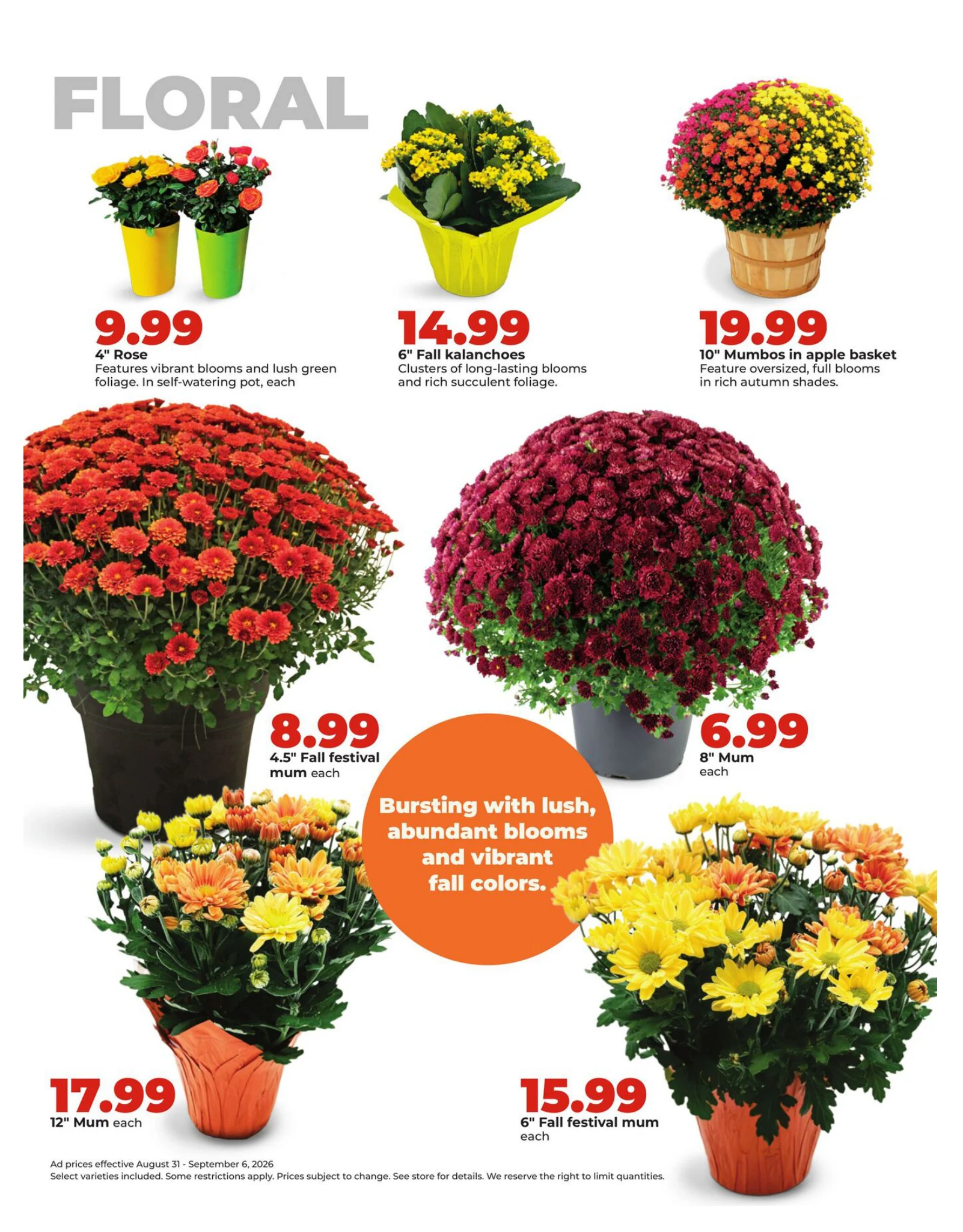 Hy Vee Weekly Ad - Page 37
