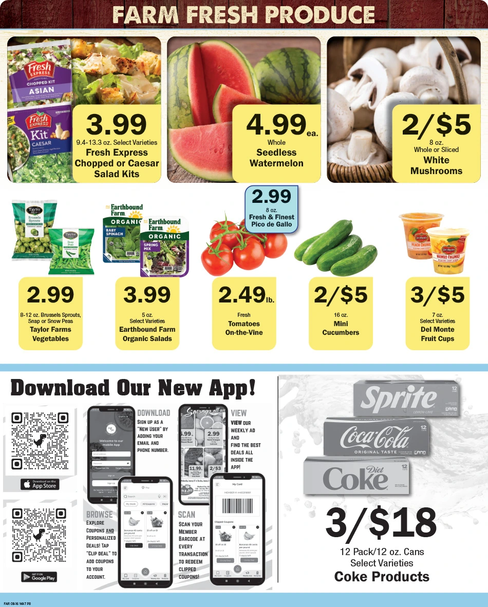 Flyer page 8